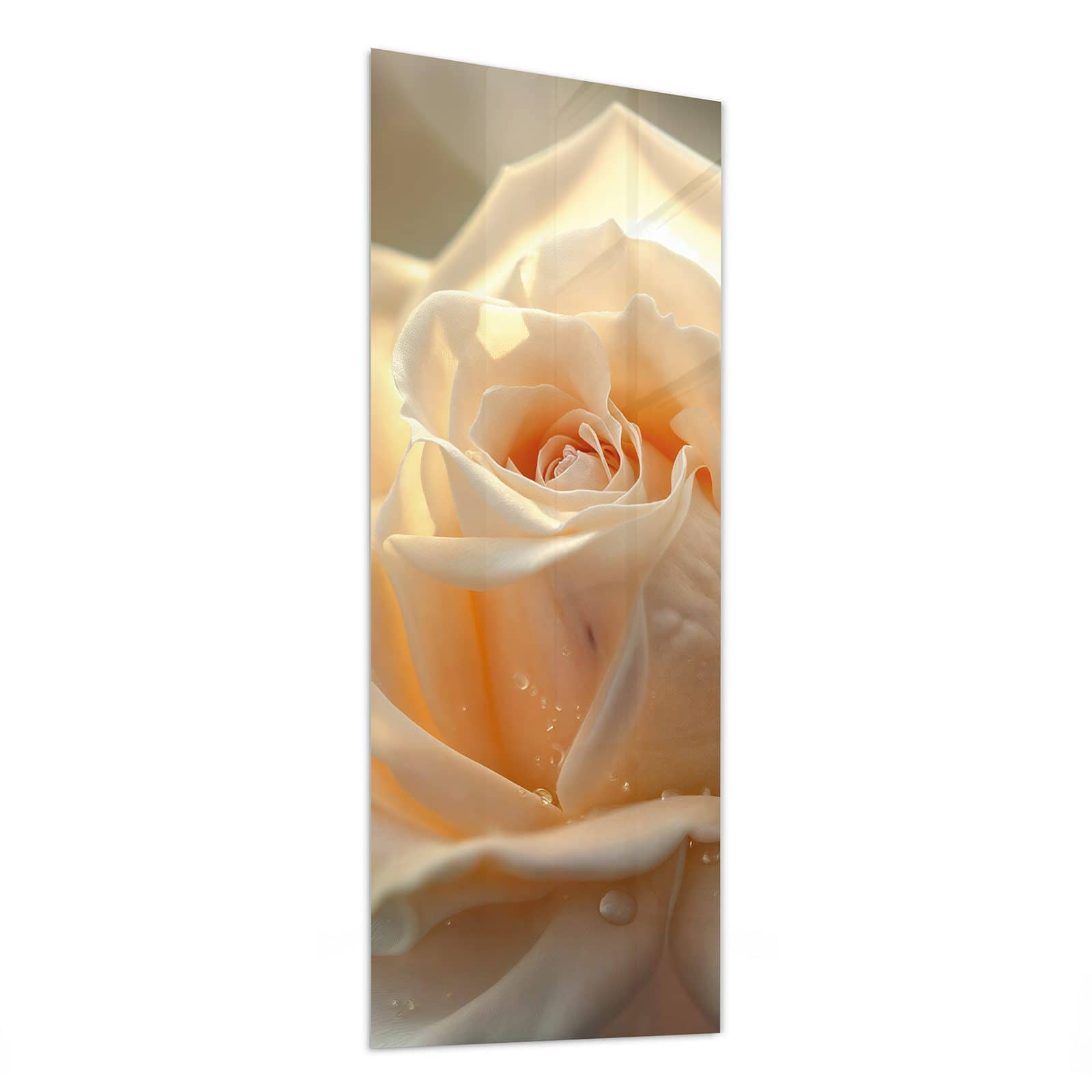 #grösse_50 x 125 cm #grösse_40 x 100 cm #grösse_60 x 150 cm