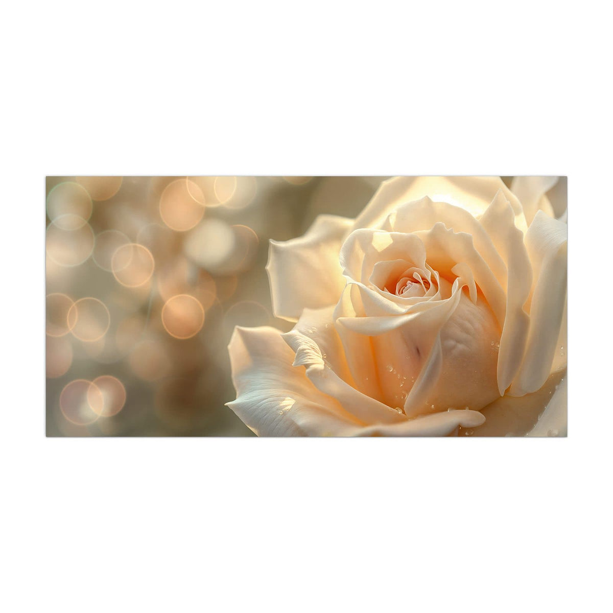Küchenrückwand aus Glas Rose mit Wassertropfen im Hochformat, Motiv bildfüllend von vorn