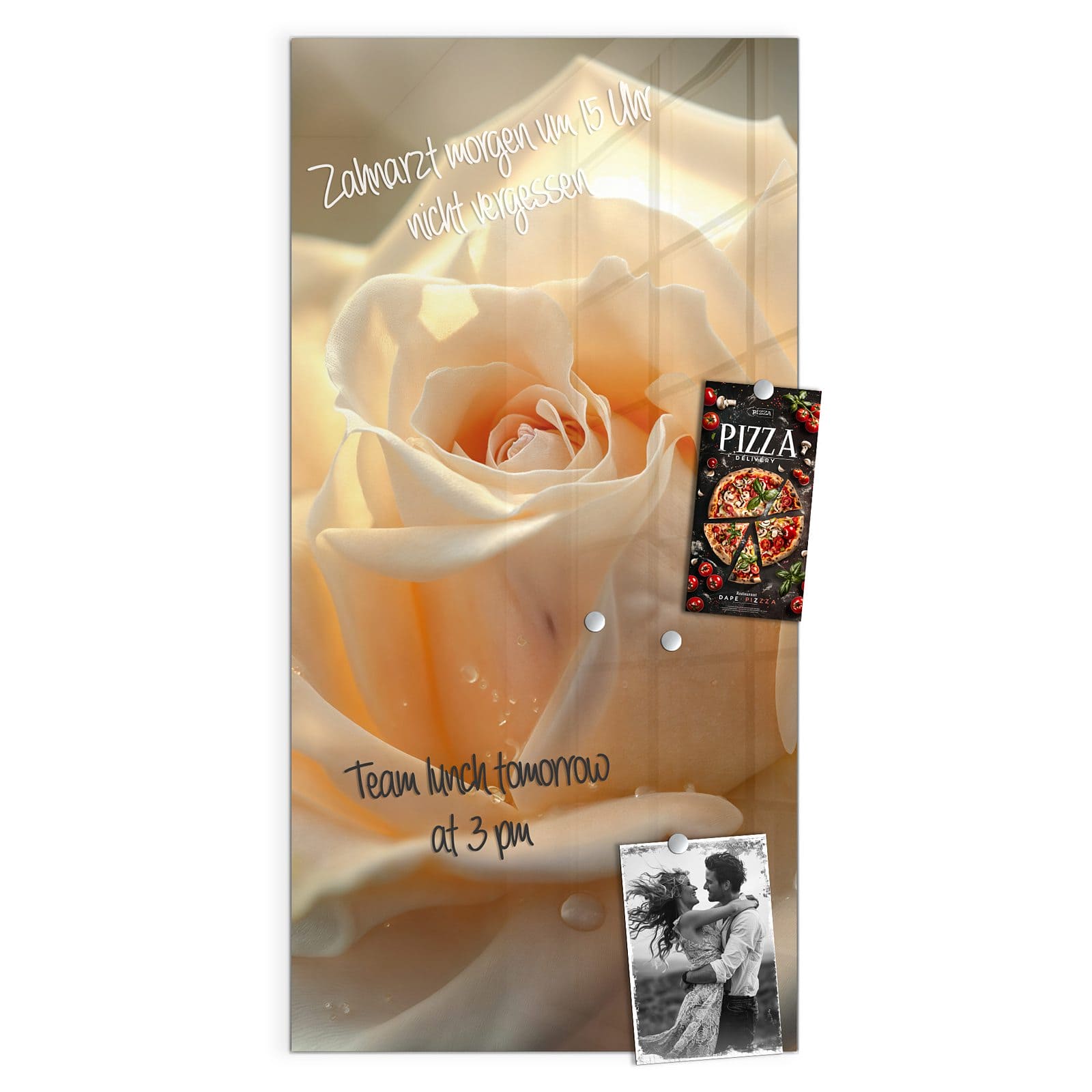 #grösse_50 x 100 cm