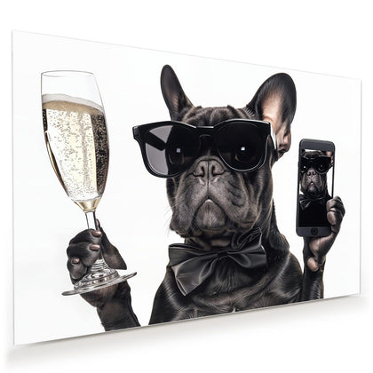 Wandbild mit dem Motiv Hund mit Sonnenbrille