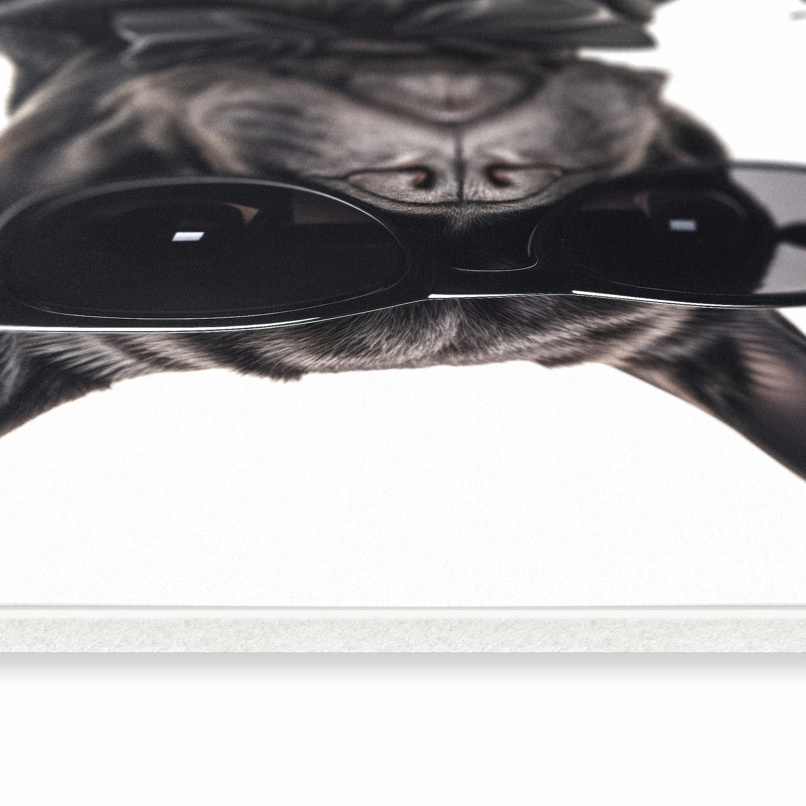 Rutschhemmender Teppich für die Küche mit Motiv Sonnenbrillenhund in seitlicher Ansicht