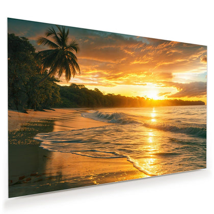 Wandbild mit dem Motiv Palme im Abendgold