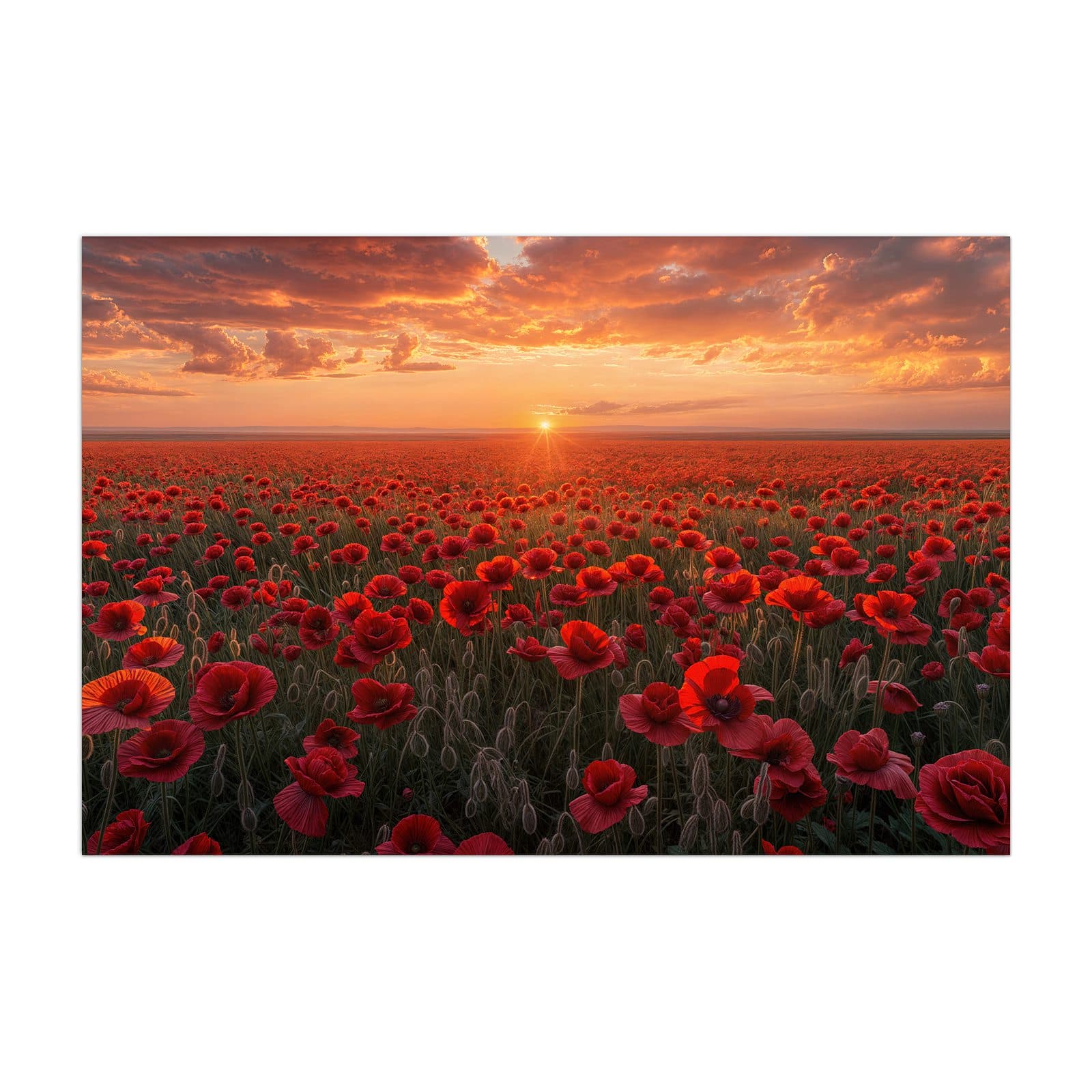 #grösse_40 x 60 cm #grösse_50 x 75 cm #grösse_60 x 90 cm #grösse_80 x 120 cm