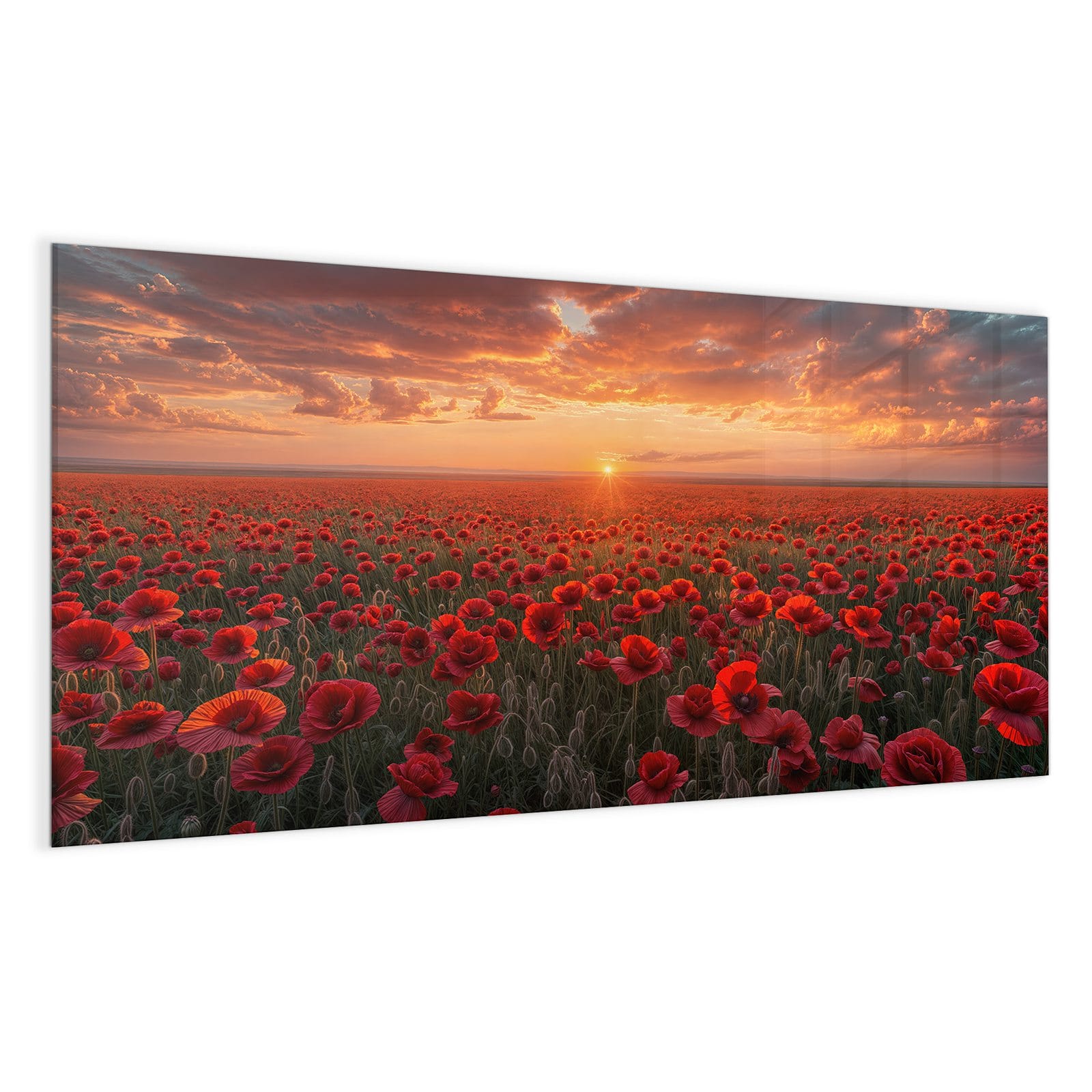 #grösse_100 x 50 cm