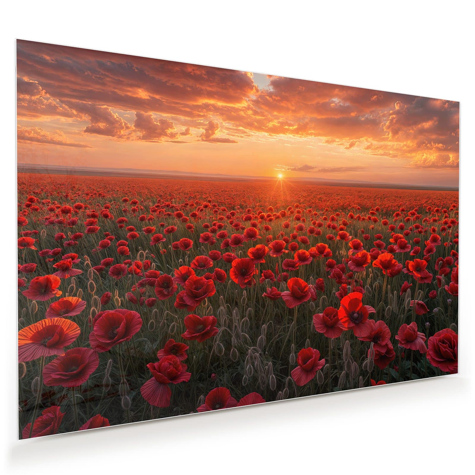 #grösse_45 x 30 cm #grösse_60 x 40 cm #grösse_75 x 50 cm #grösse_90 x 60 cm #grösse_120 x 80 cm