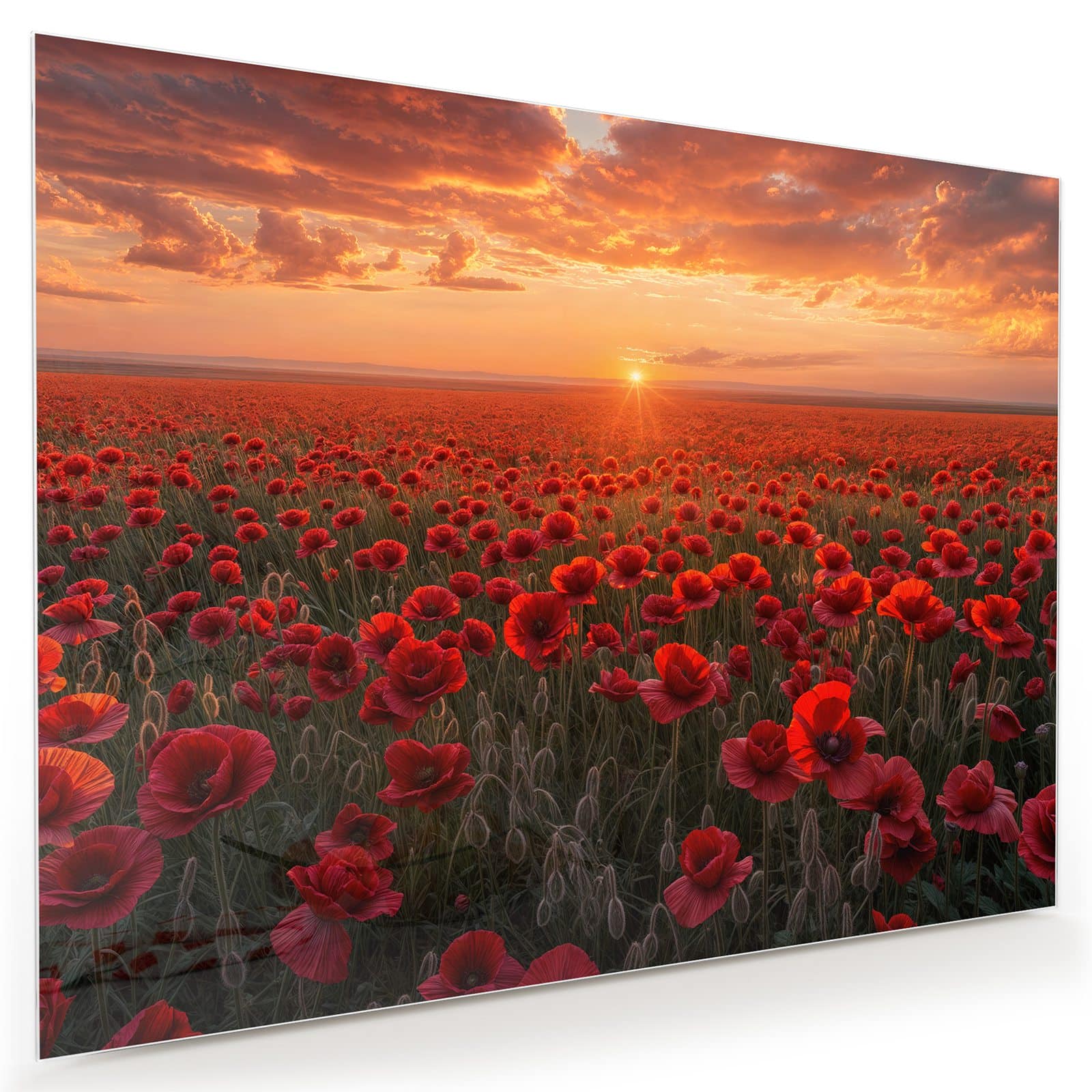 #grösse_80 x 60 cm #grösse_100 x 75 cm #grösse_120 x 90 cm