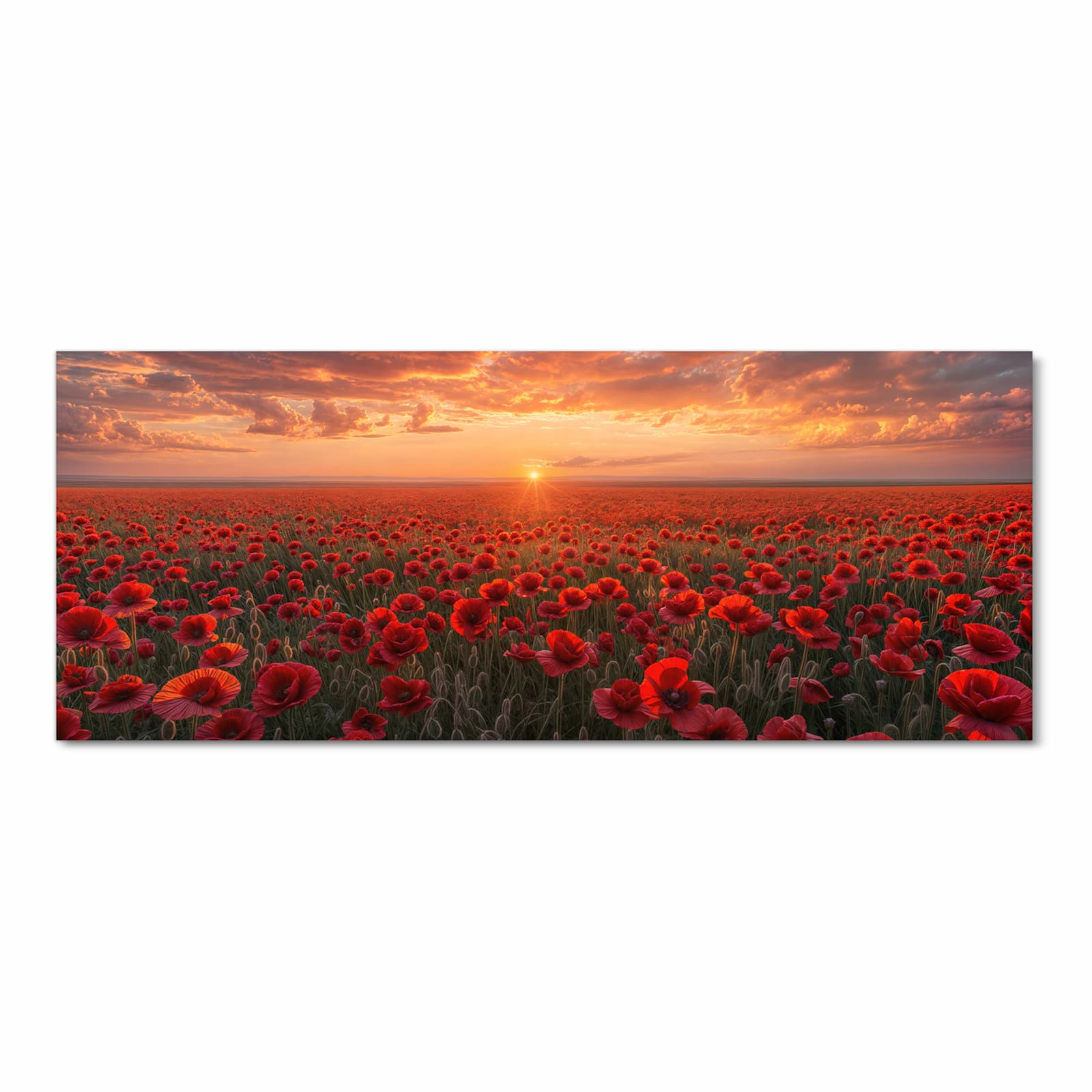 Pflegeleichter rutschfester Küchenläufer mit Motiv Mohnfeld Sonnenuntergang in Frontansicht