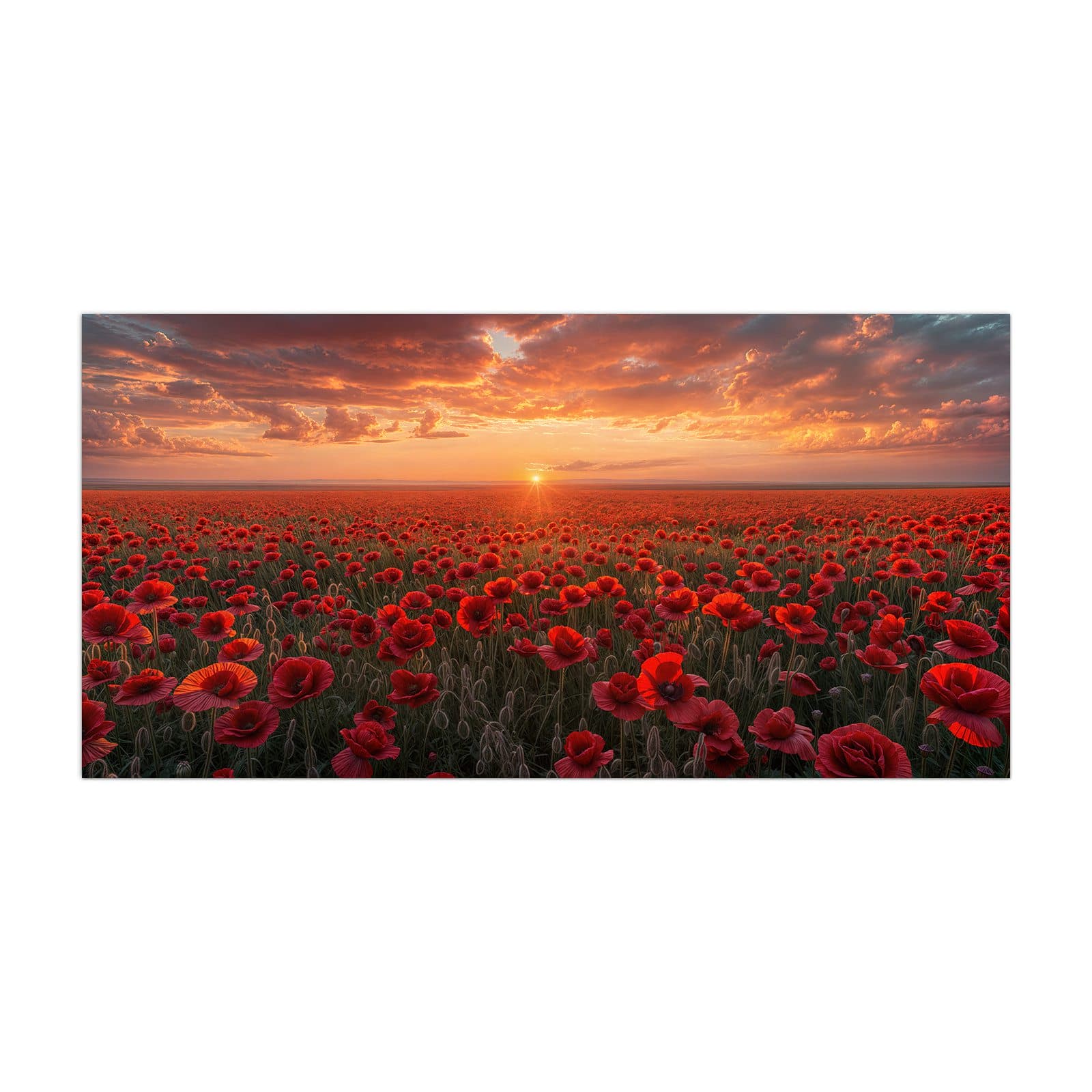 #grösse_40 x 80 cm #grösse_50 x 100 cm #grösse_55 x 110 cm #grösse_60 x 120 cm
