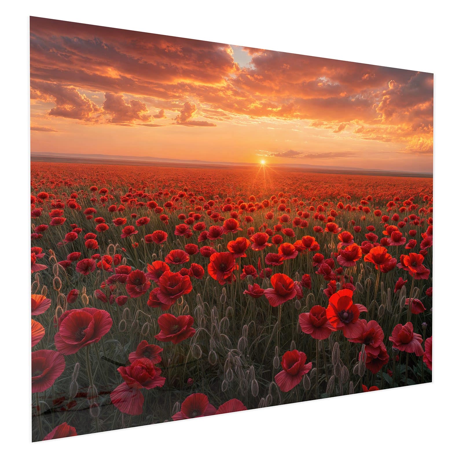 #grösse_75 x 60 cm #grösse_100 x 80 cm