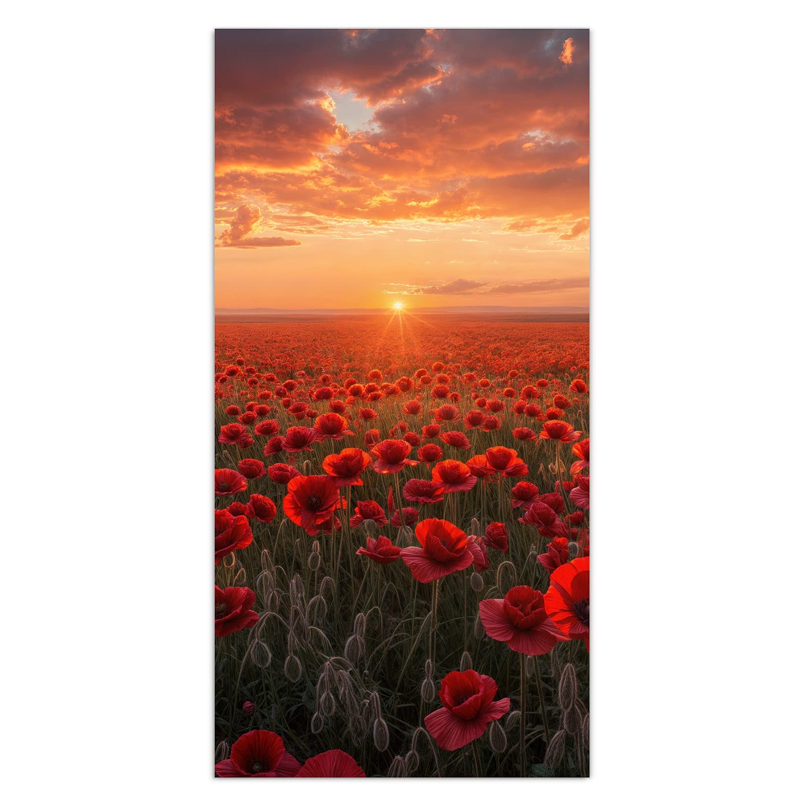 #grösse_30 x 60 cm #grösse_40 x 80 cm #grösse_50 x 100 cm #grösse_55 x 110 cm #grösse_60 x 120 cm