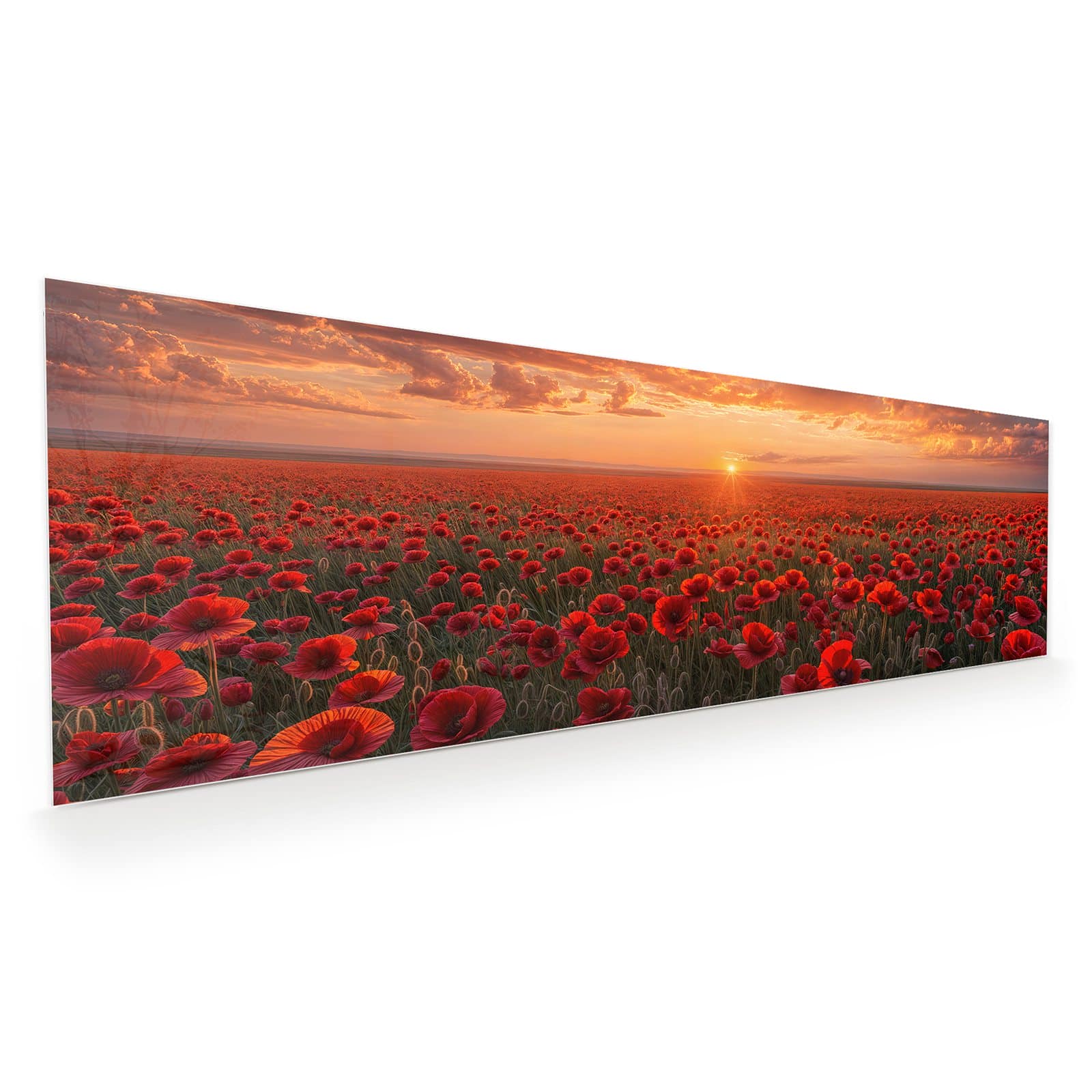 #grösse_120 x 40 cm