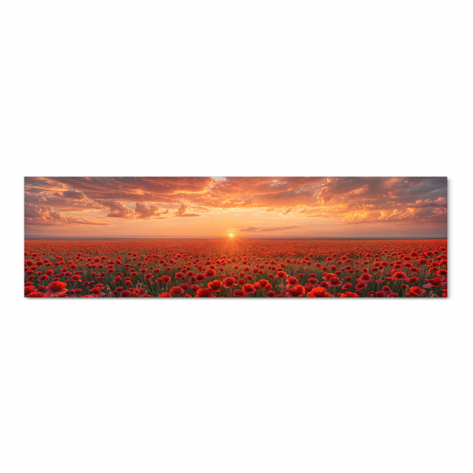 Feuchtigkeitsresistenter Küchenteppich mit Motiv Mohnfeld Sonnenuntergang in Frontansicht