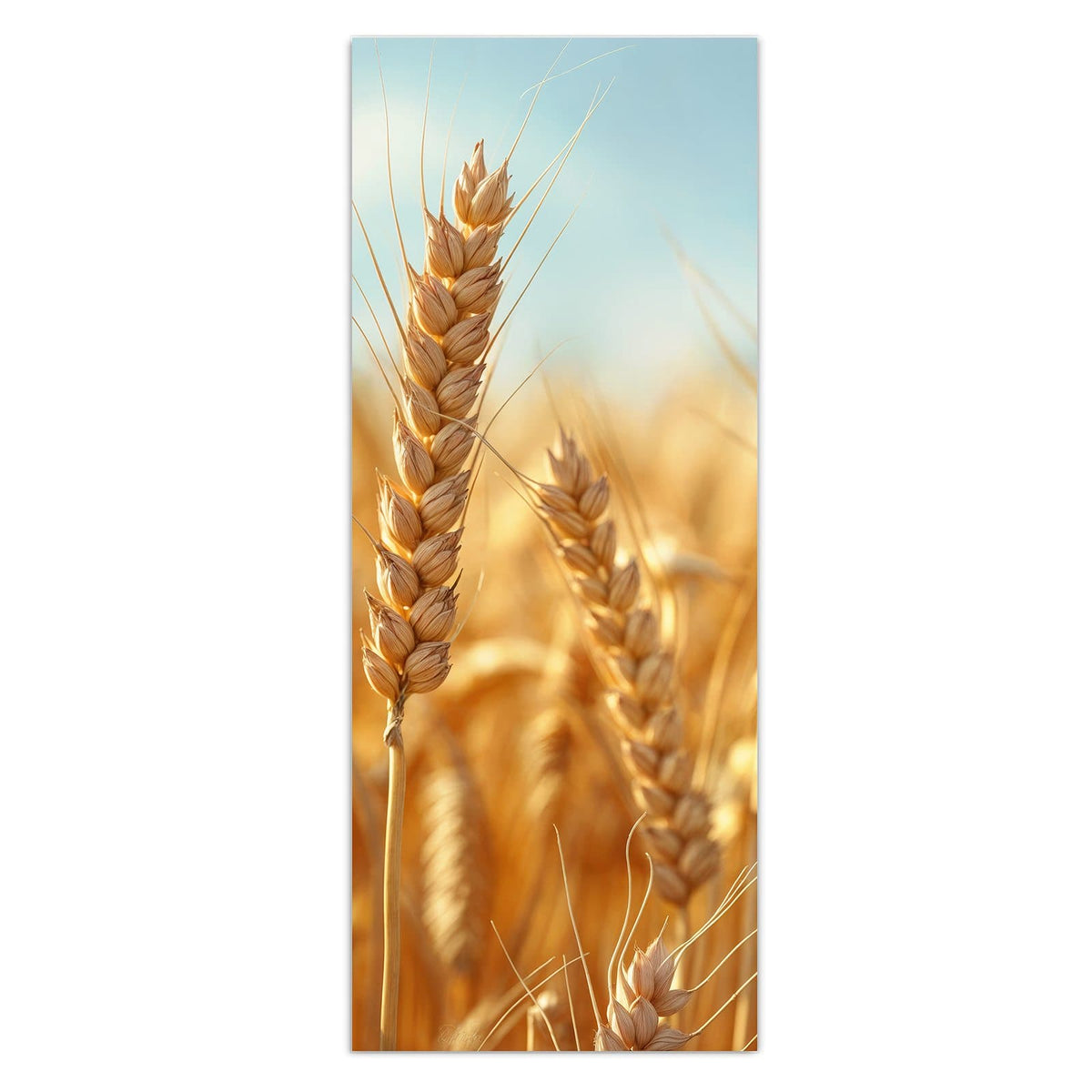 Wandbild - Weizen im Sonnenlicht - Hochformat – Goldene Ähren unter blauem Himmel