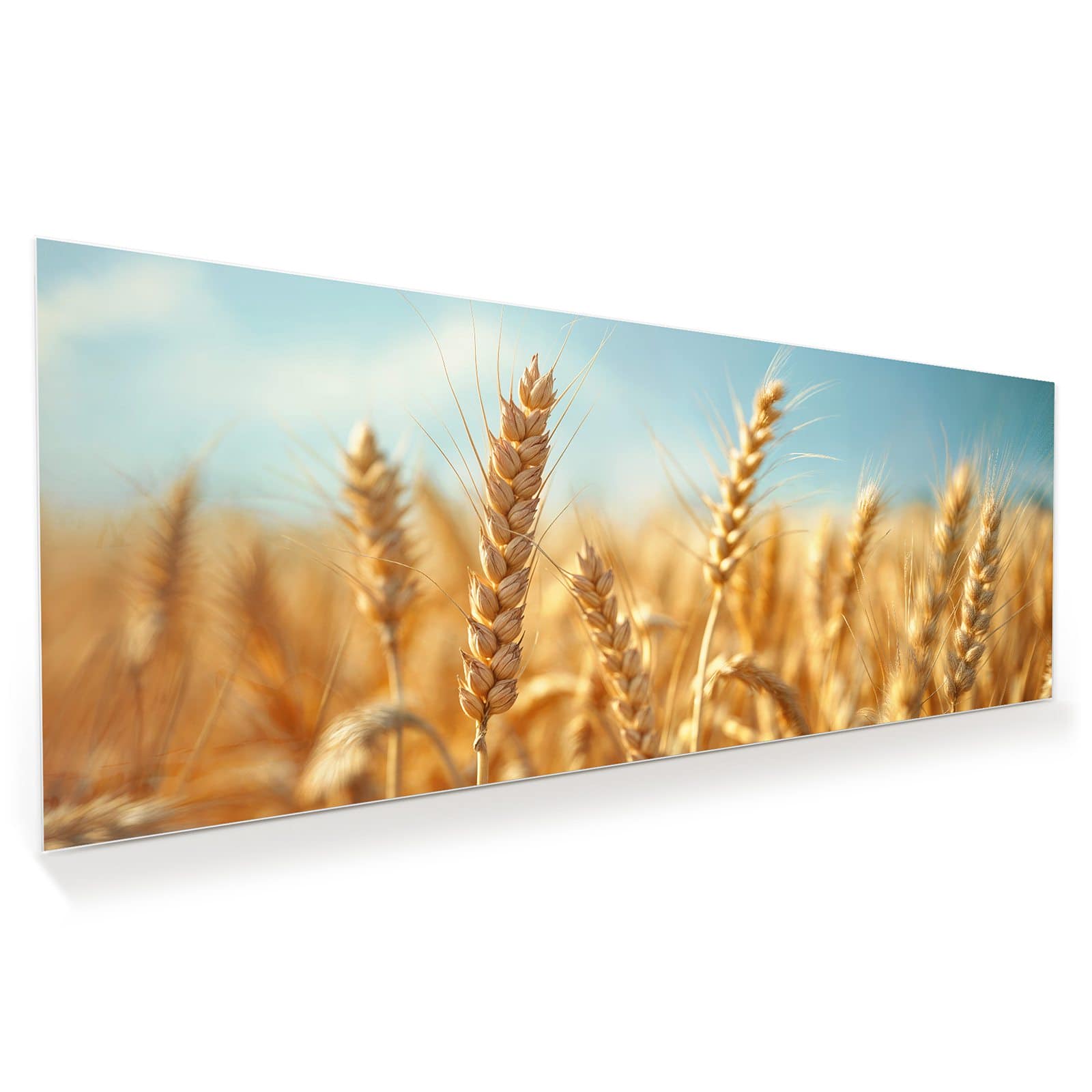 #grösse_100 x 40 cm #grösse_125 x 50 cm #grösse_150 x 60 cm