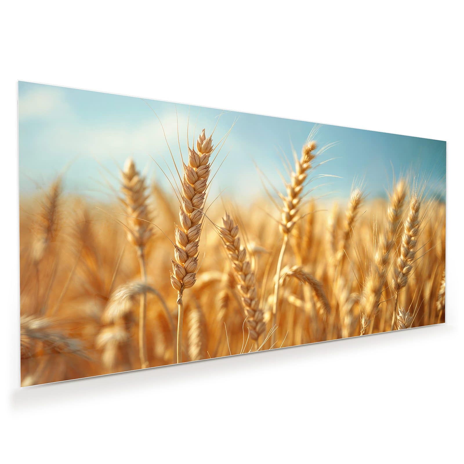 #grösse_60 x 30 cm #grösse_80 x 40 cm #grösse_100 x 50 cm #grösse_110 x 55 cm #grösse_120 x 60 cm