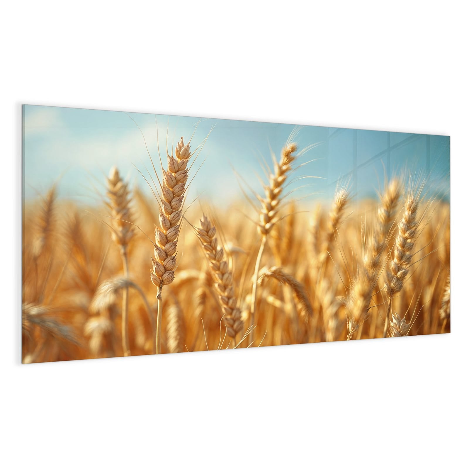 #grösse_100 x 50 cm