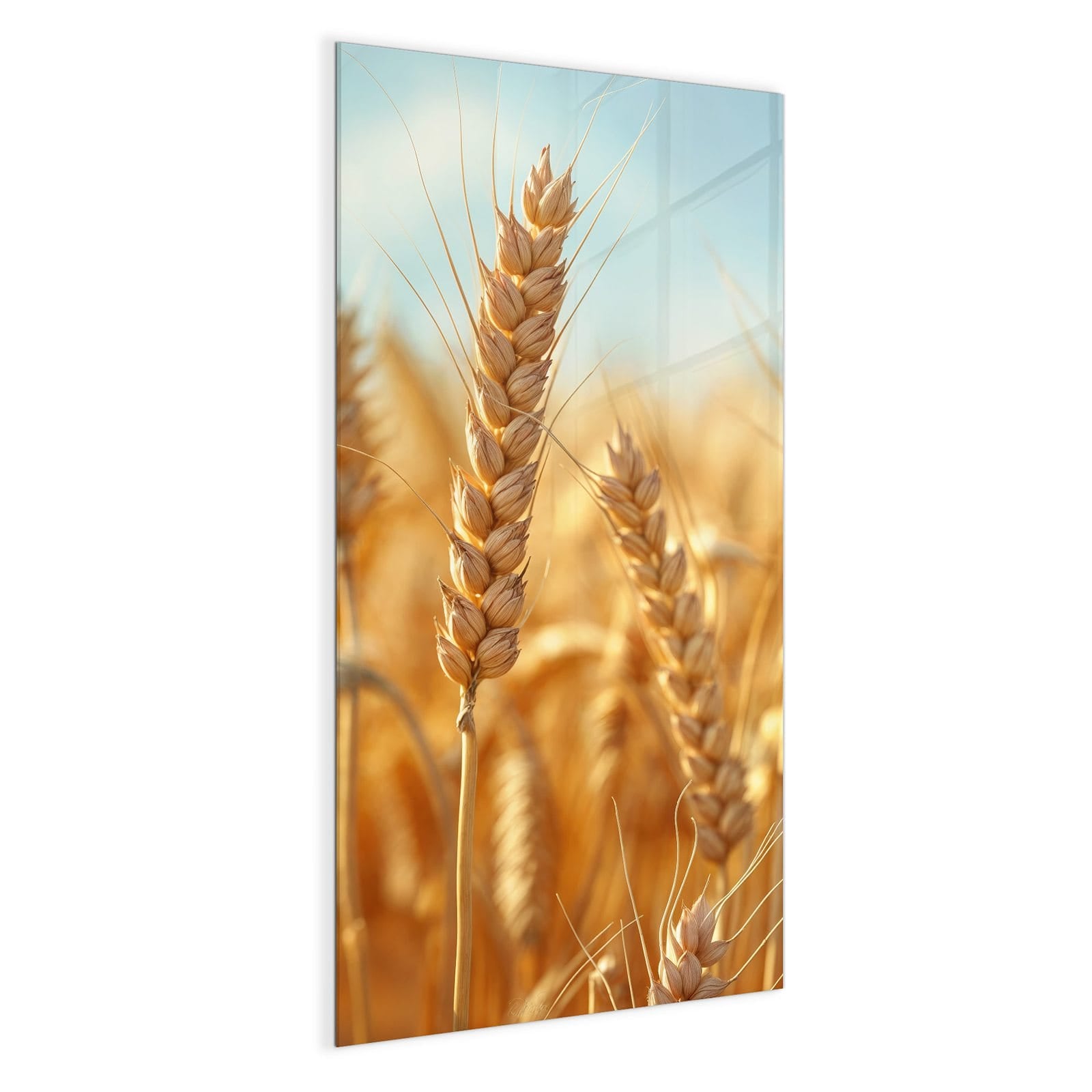 #grösse_50 x 100 cm