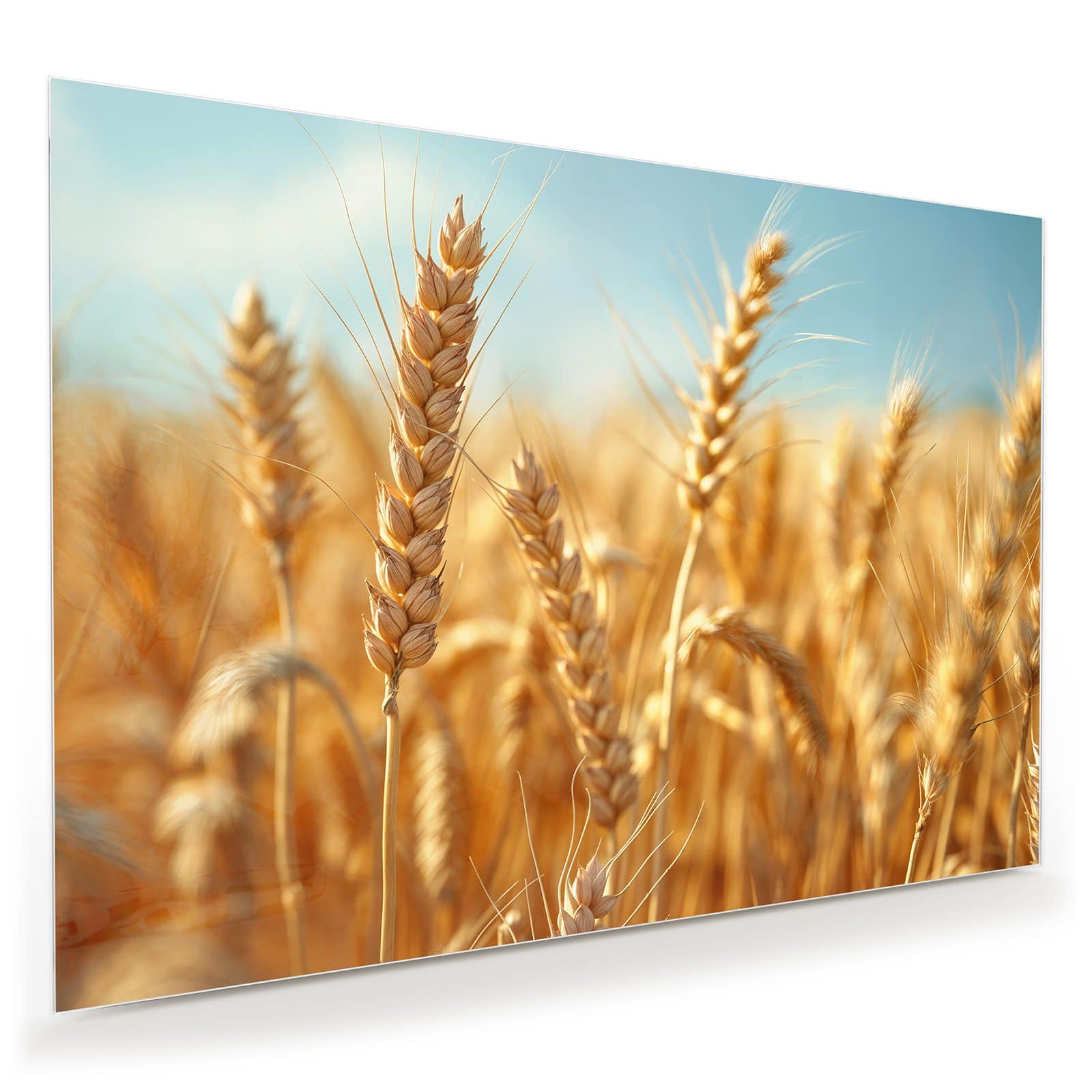 #grösse_100 x 70 cm