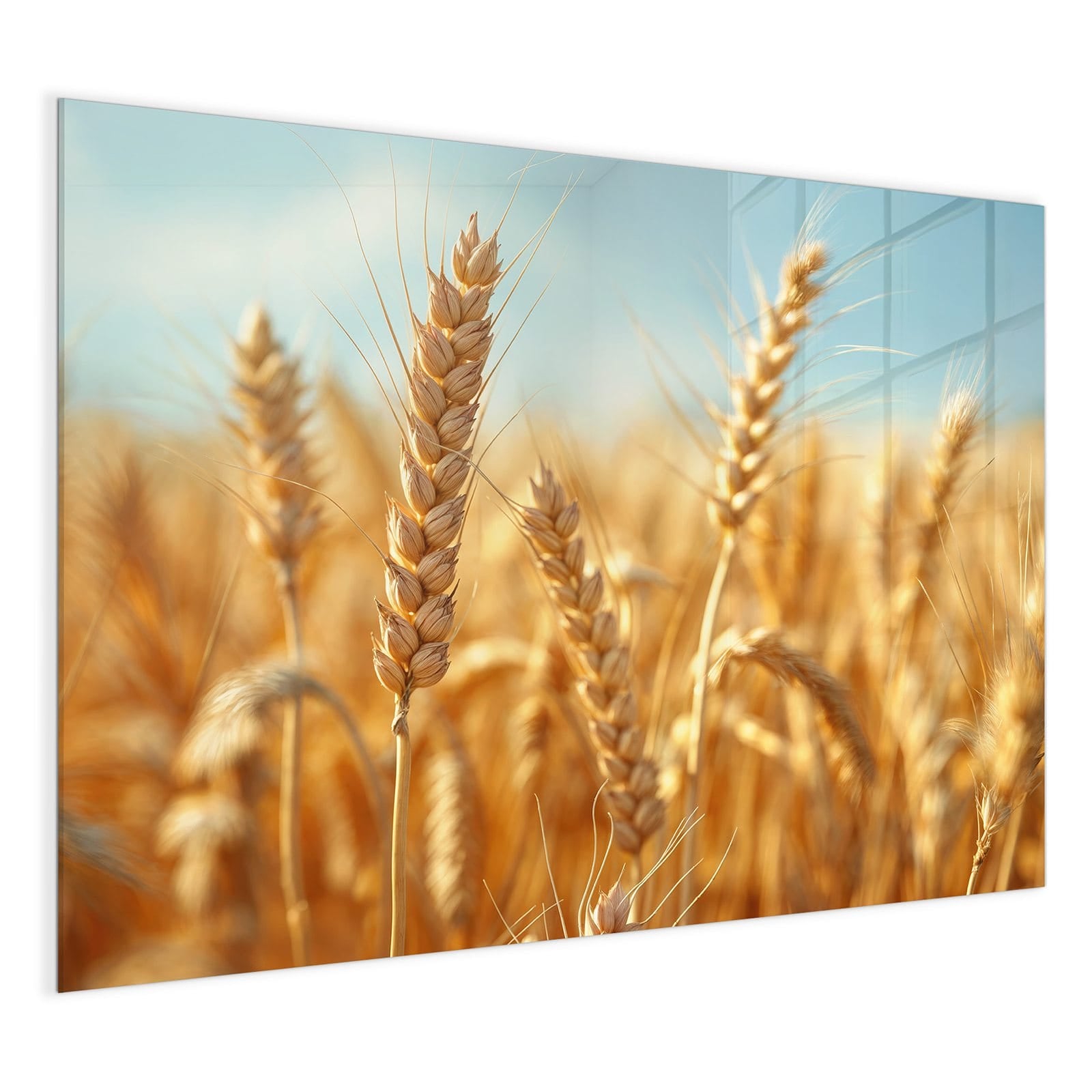 #grösse_120 x 90 cm