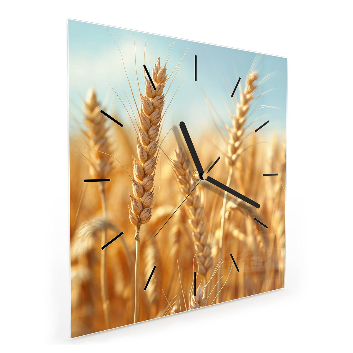 Quadratische Wanduhr aus Glas Weizen im Sonnenlicht schräg von der Seite, 4 mm starkes Glas