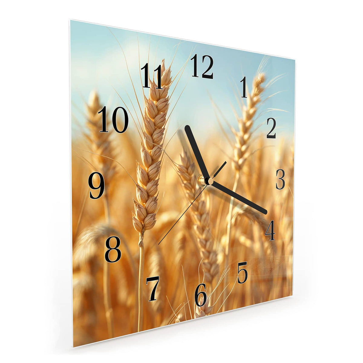 Quadratische Wanduhr aus Glas Weizen im Sonnenlicht schräg von der Seite, 4 mm starkes Glas
