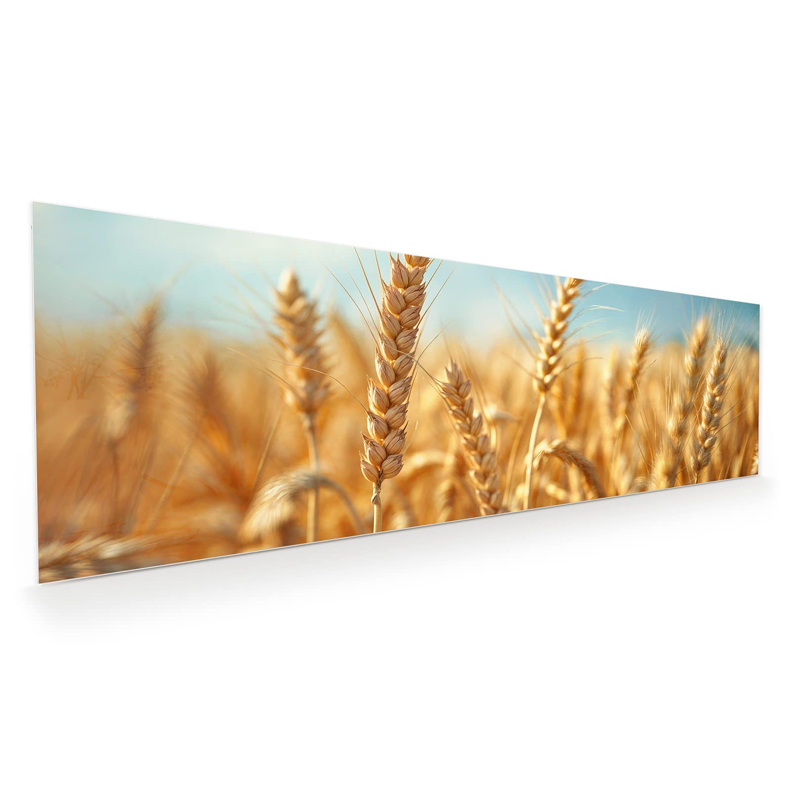 #grösse_120 x 40 cm