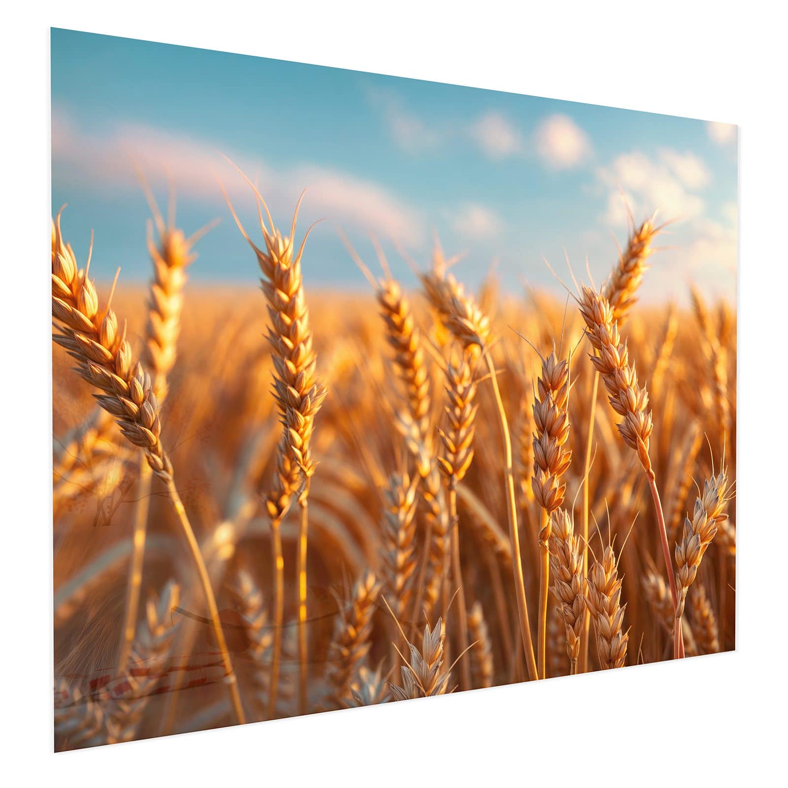 #grösse_75 x 60 cm #grösse_100 x 80 cm