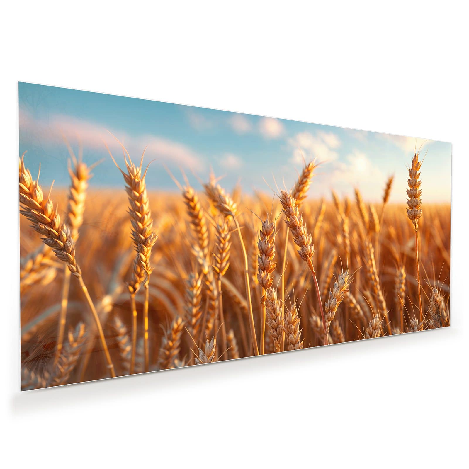 #grösse_60 x 30 cm #grösse_80 x 40 cm #grösse_100 x 50 cm #grösse_110 x 55 cm #grösse_120 x 60 cm