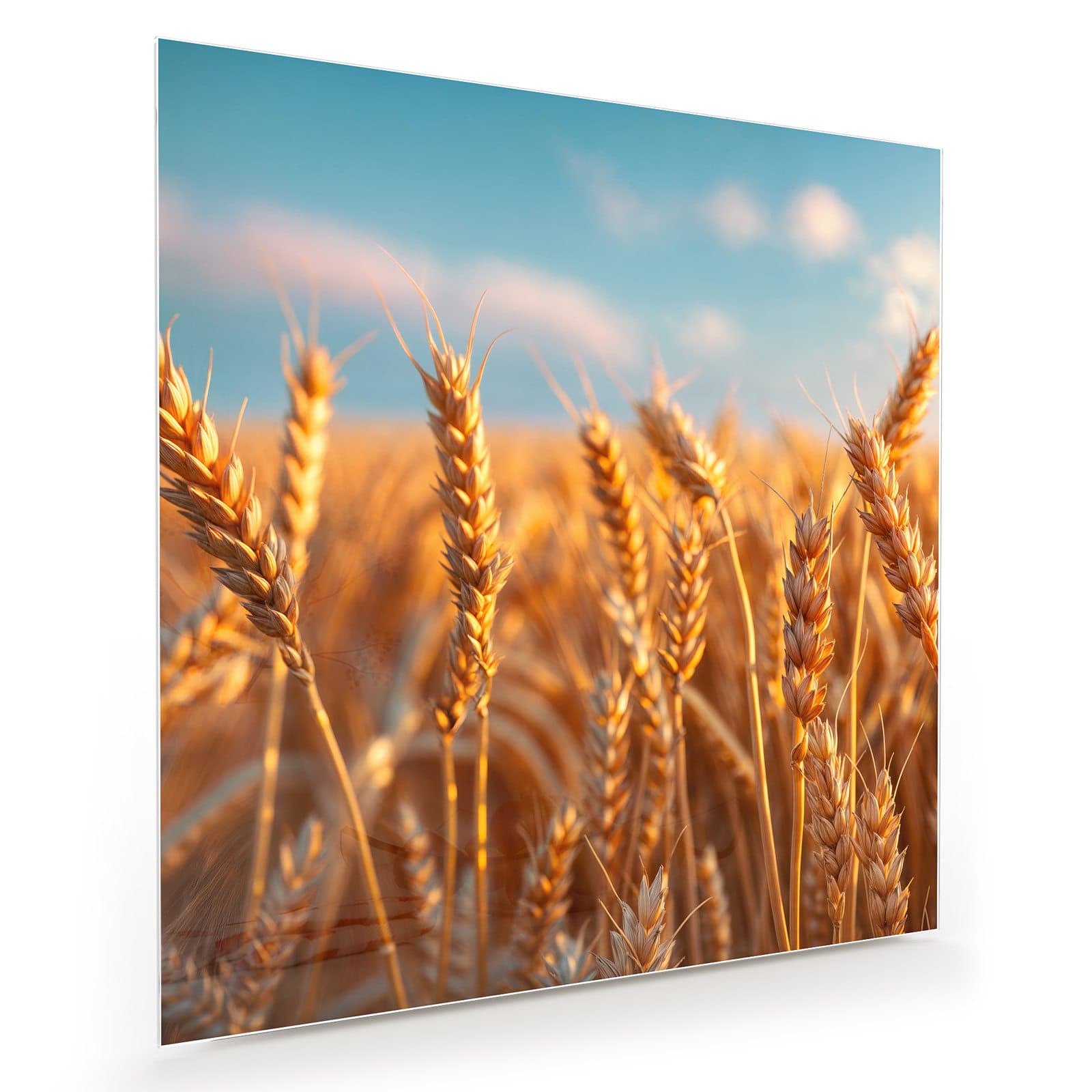 #grösse_30 x 30 cm #grösse_40 x 40 cm #grösse_50 x 50 cm #grösse_60 x 60 cm #grösse_70 x 70 cm #grösse_80 x 80 cm #grösse_90 x 90 cm #grösse_100 x 100 cm