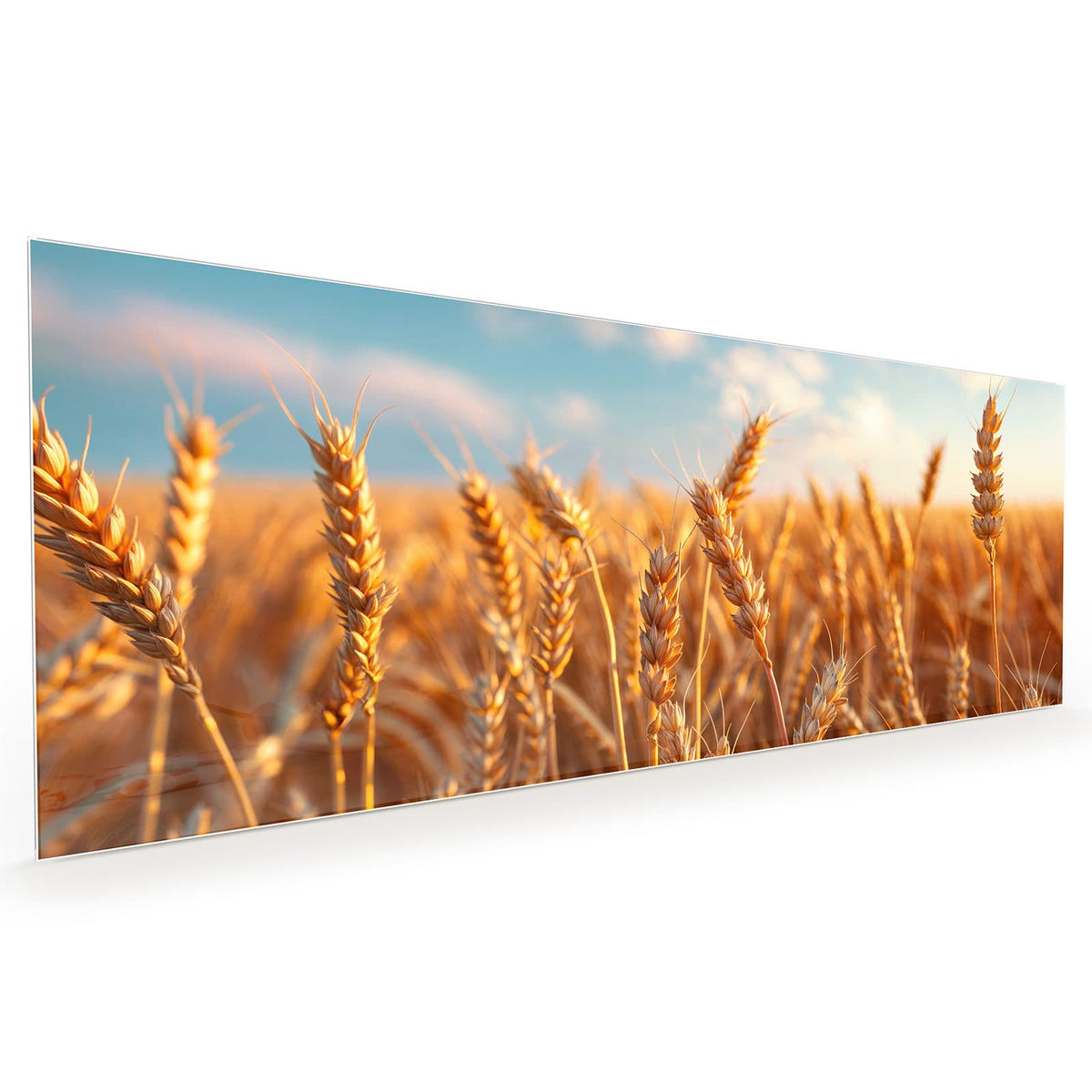 #größe_40 x 100 cm #größe_50 x 125 cm #größe_60 x 150 cm