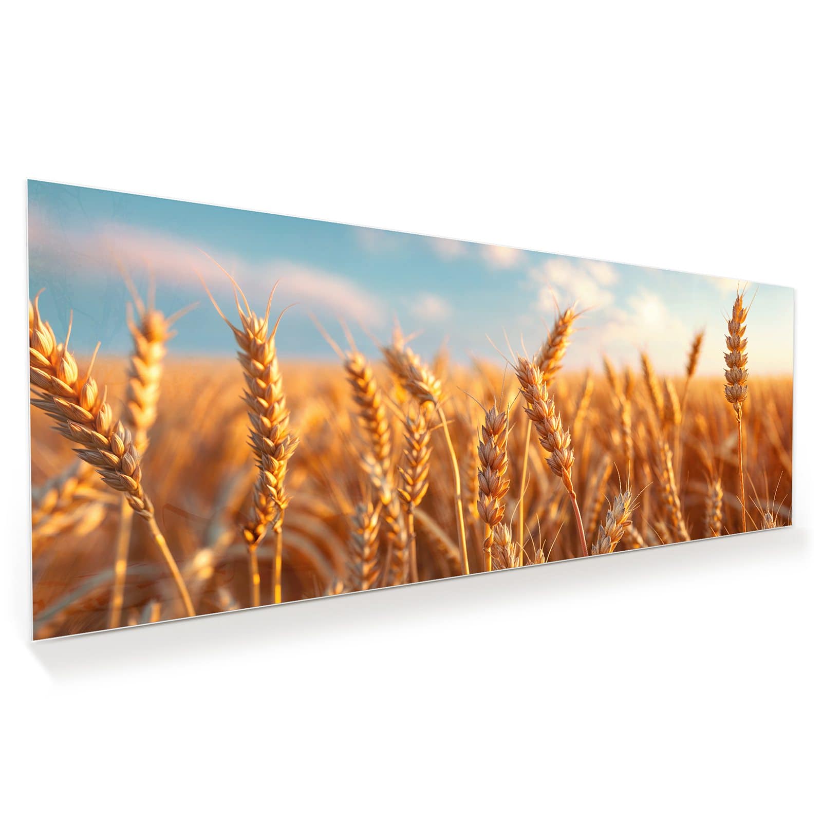 #grösse_100 x 40 cm #grösse_125 x 50 cm #grösse_150 x 60 cm