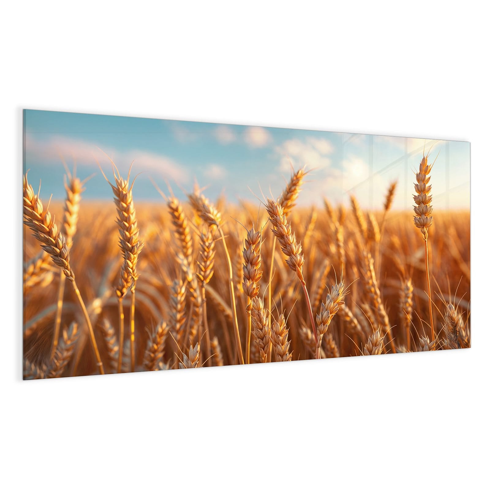 #grösse_100 x 50 cm