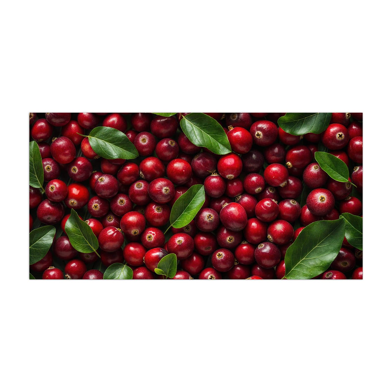 #grösse_40 x 80 cm #grösse_50 x 100 cm #grösse_55 x 110 cm #grösse_60 x 120 cm