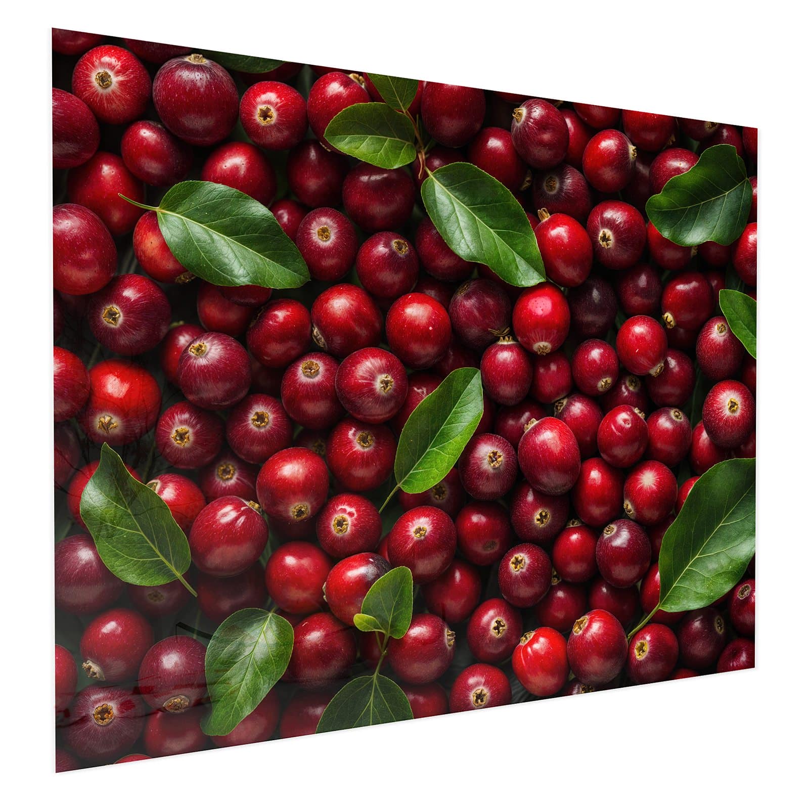 #grösse_75 x 60 cm #grösse_100 x 80 cm