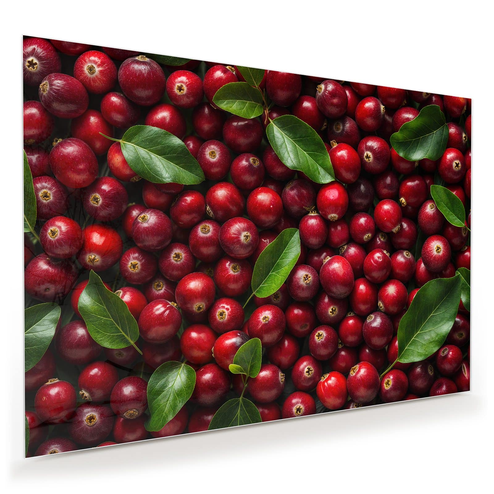 #grösse_100 x 70 cm