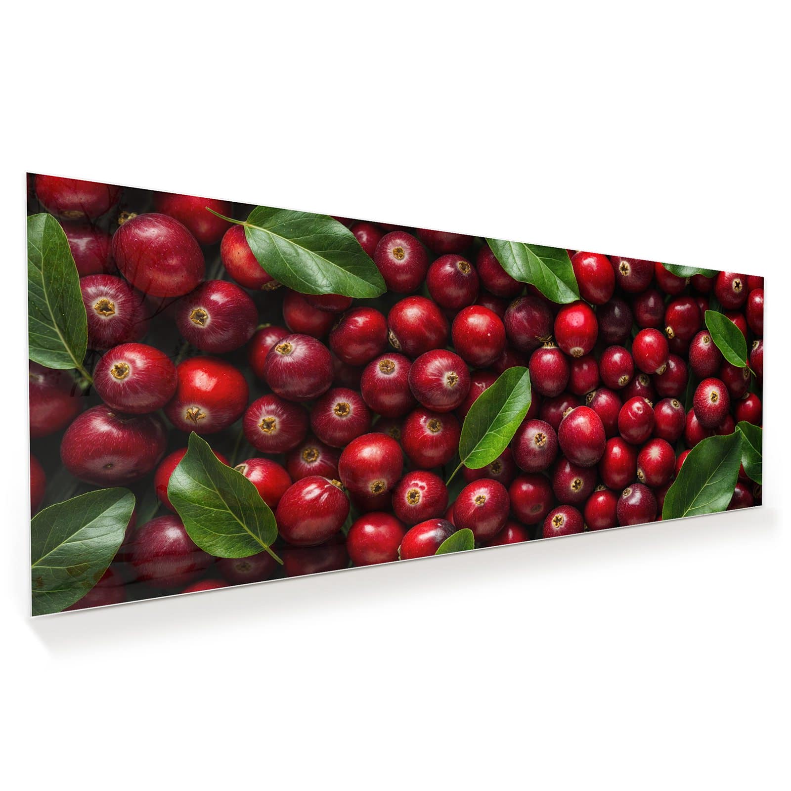 #grösse_100 x 40 cm #grösse_125 x 50 cm #grösse_150 x 60 cm