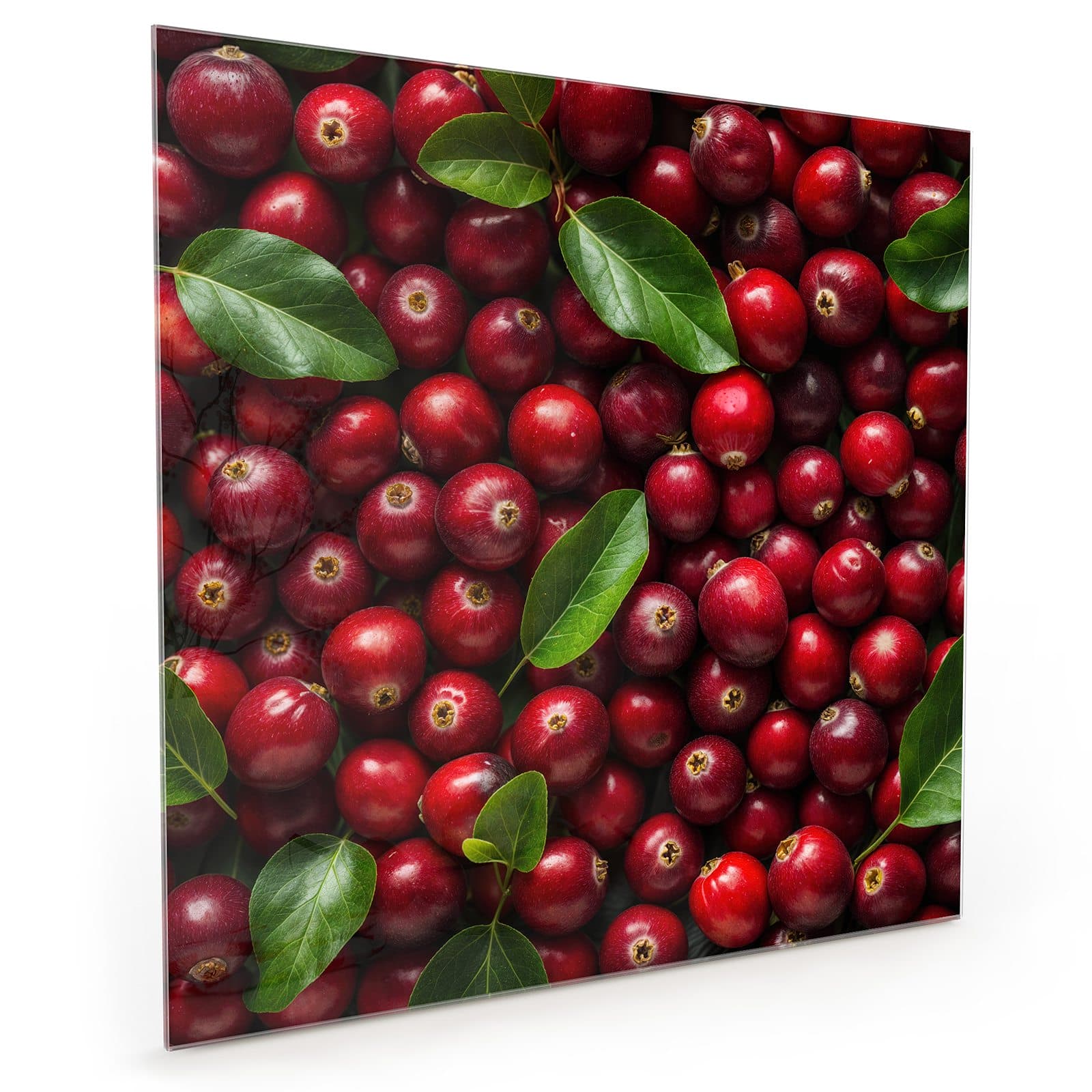 #70 x 70 cm_