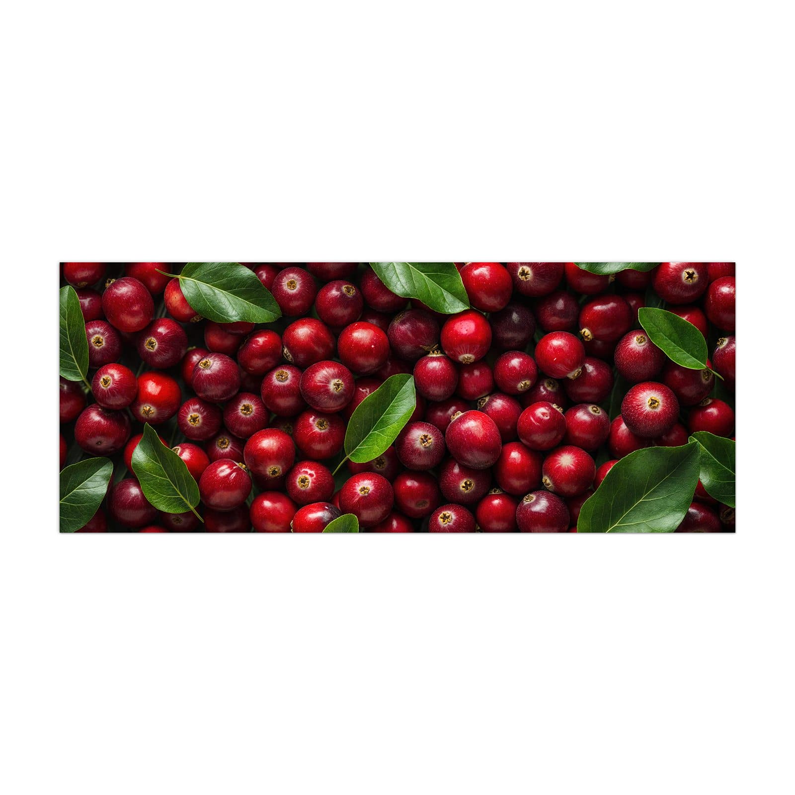 #grösse_40 x 100 cm #grösse_50 x 125 cm #grösse_60 x 150 cm