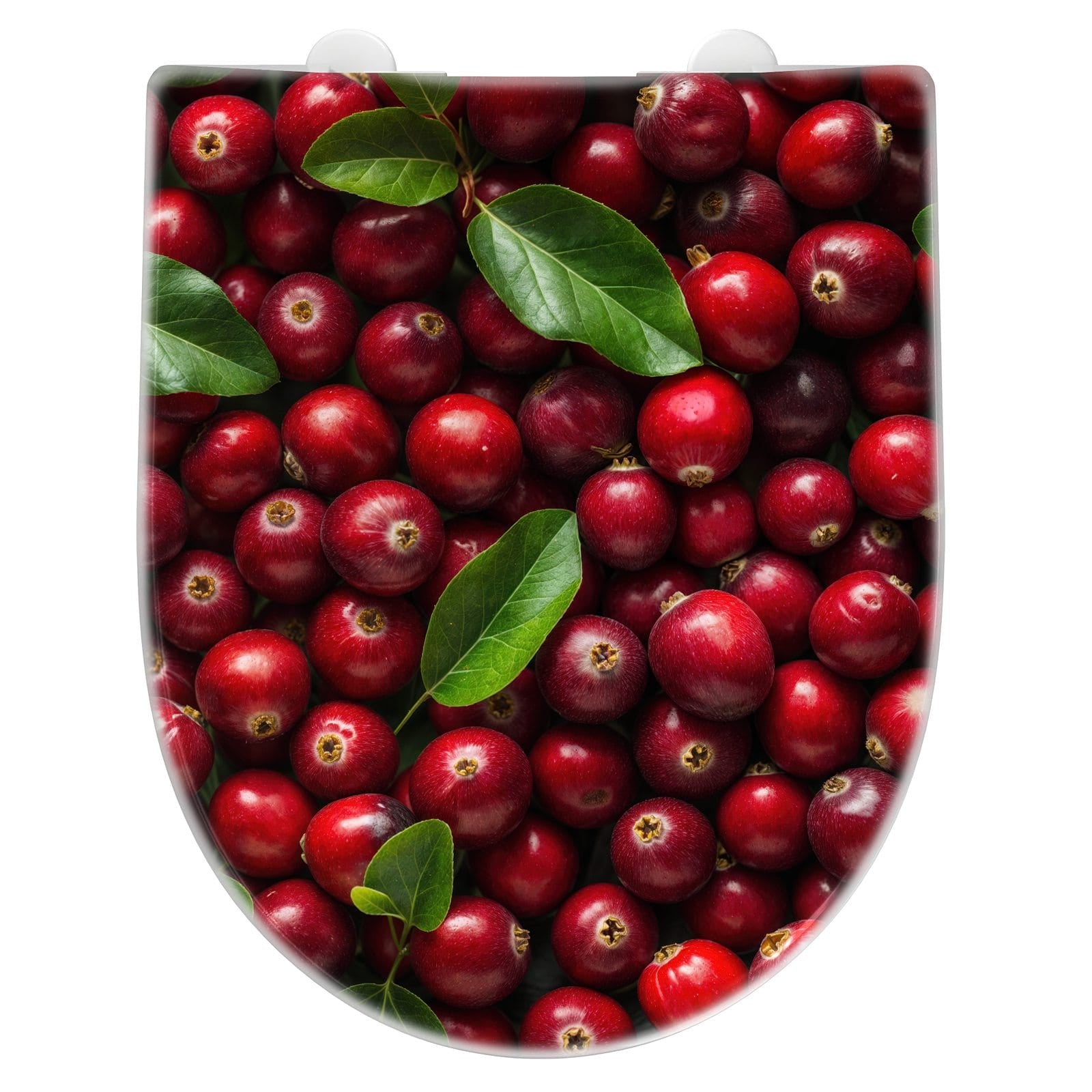 WC-Sitz mit Absenkautomatik Frische Preiselbeeren