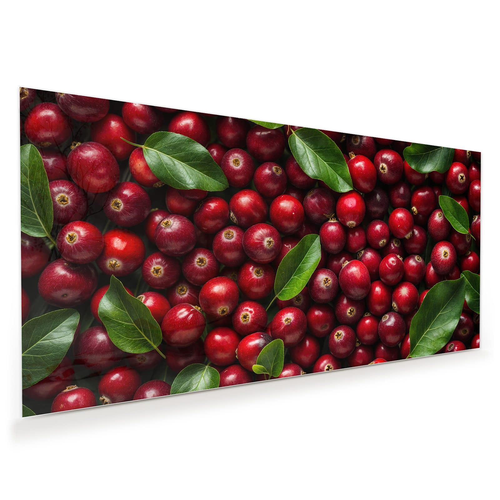 #grösse_60 x 30 cm #grösse_80 x 40 cm #grösse_100 x 50 cm #grösse_110 x 55 cm #grösse_120 x 60 cm