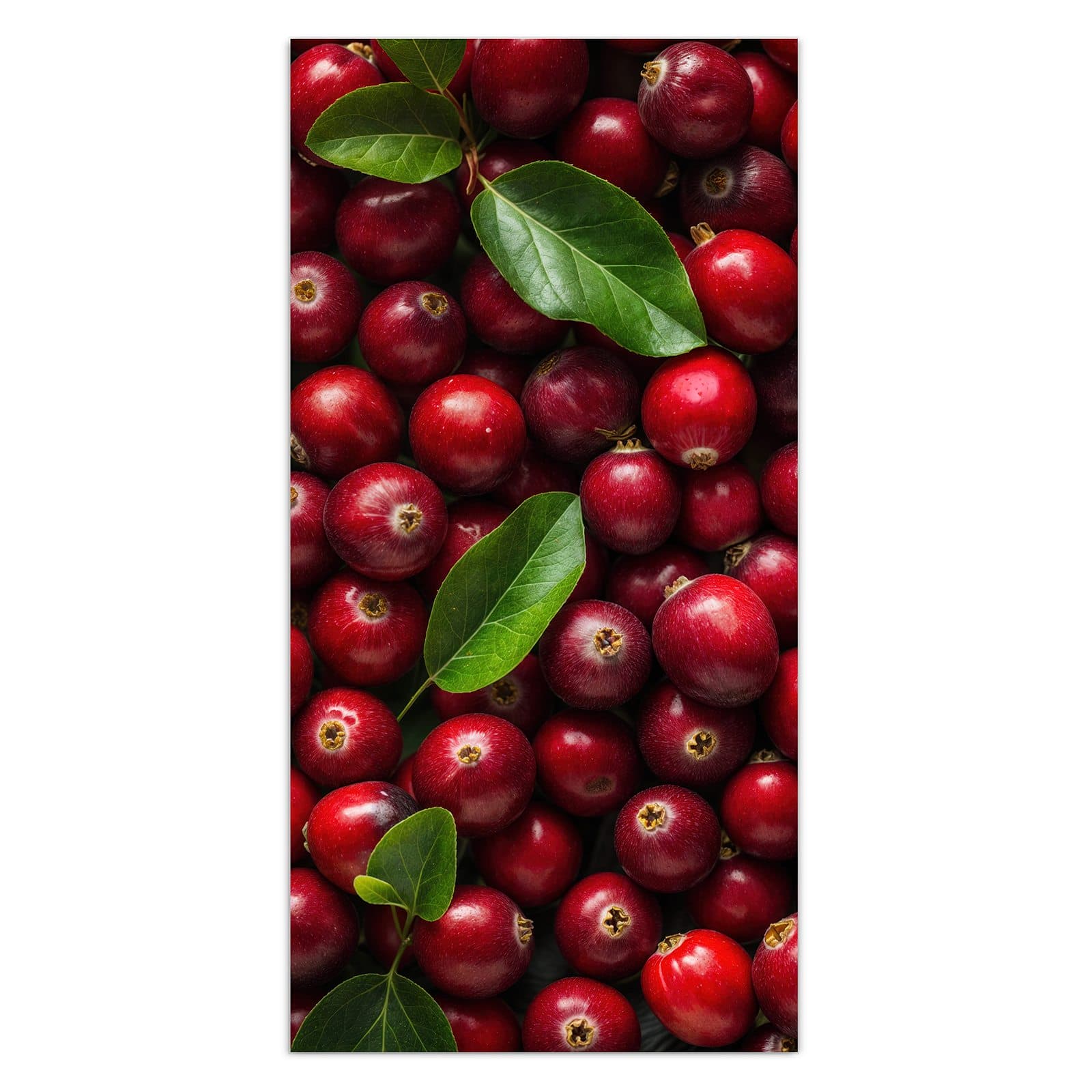 #grösse_30 x 60 cm #grösse_40 x 80 cm #grösse_50 x 100 cm #grösse_55 x 110 cm #grösse_60 x 120 cm