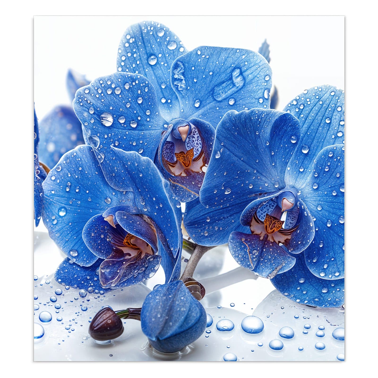 #grösse_90 x 100 cm