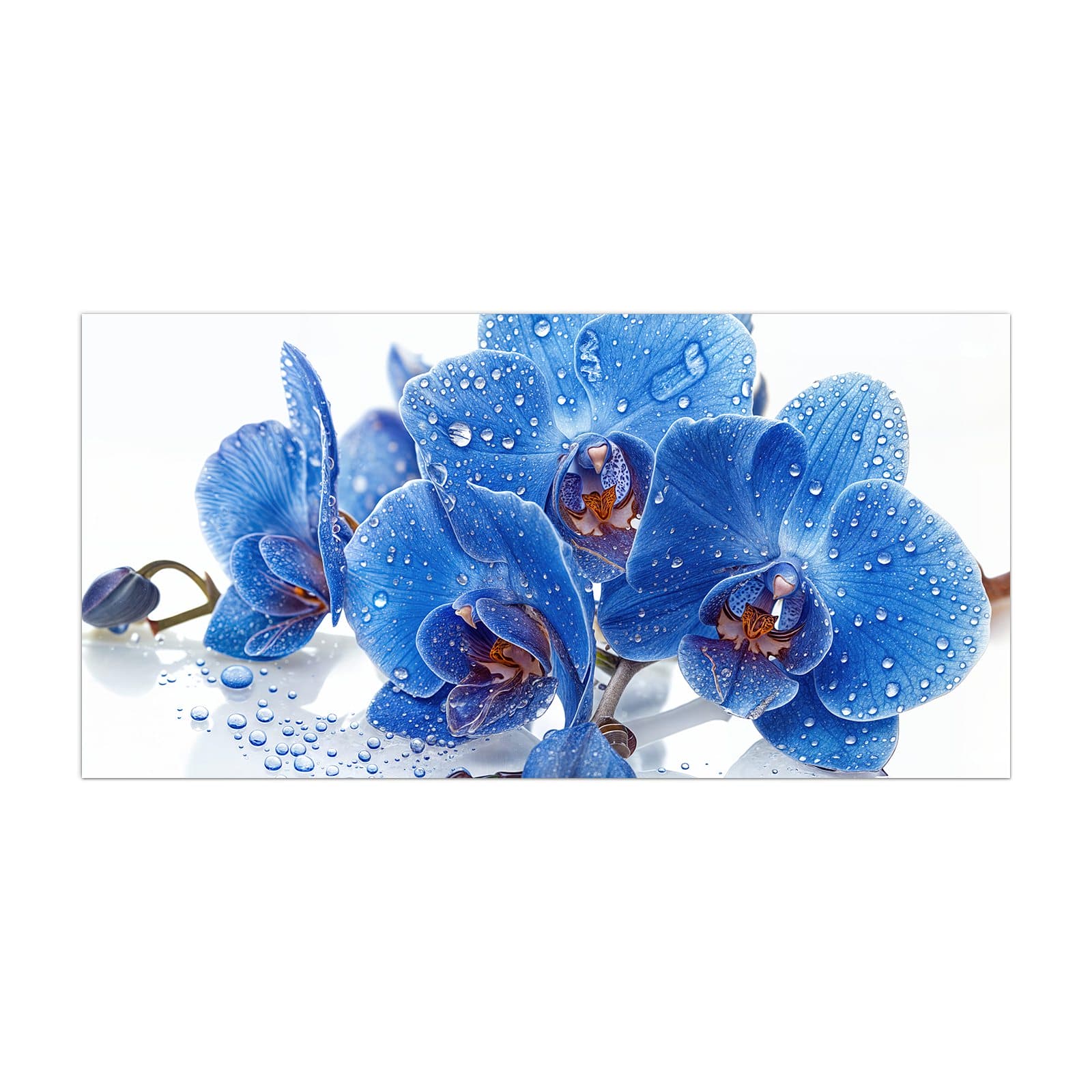#grösse_40 x 80 cm #grösse_50 x 100 cm #grösse_55 x 110 cm #grösse_60 x 120 cm