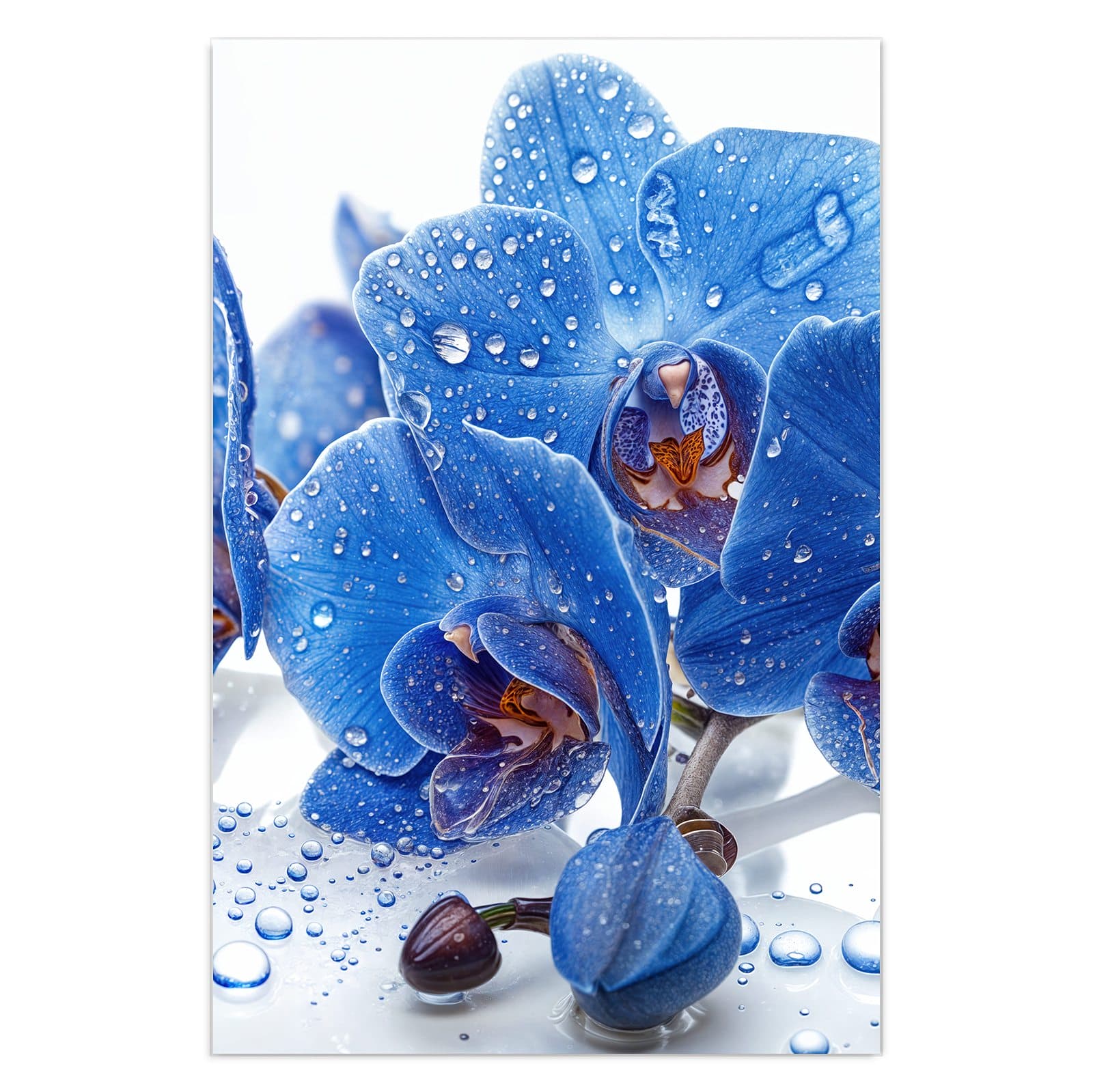 #grösse_40 x 60 cm #grösse_50 x 75 cm #grösse_60 x 90 cm