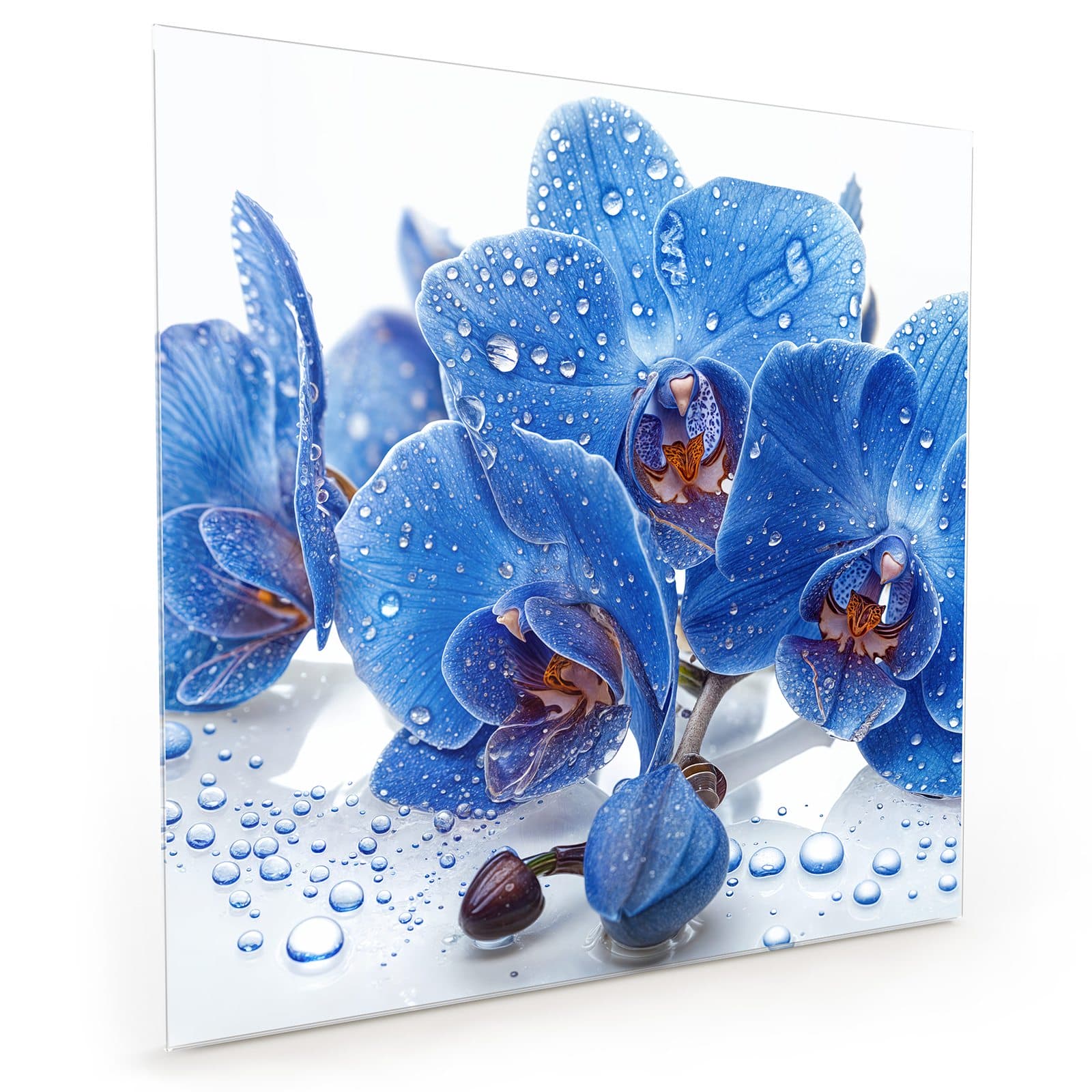 #70 x 70 cm_