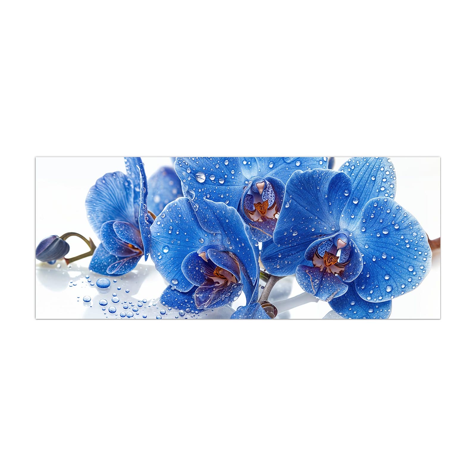 #grösse_40 x 100 cm #grösse_50 x 125 cm #grösse_60 x 150 cm