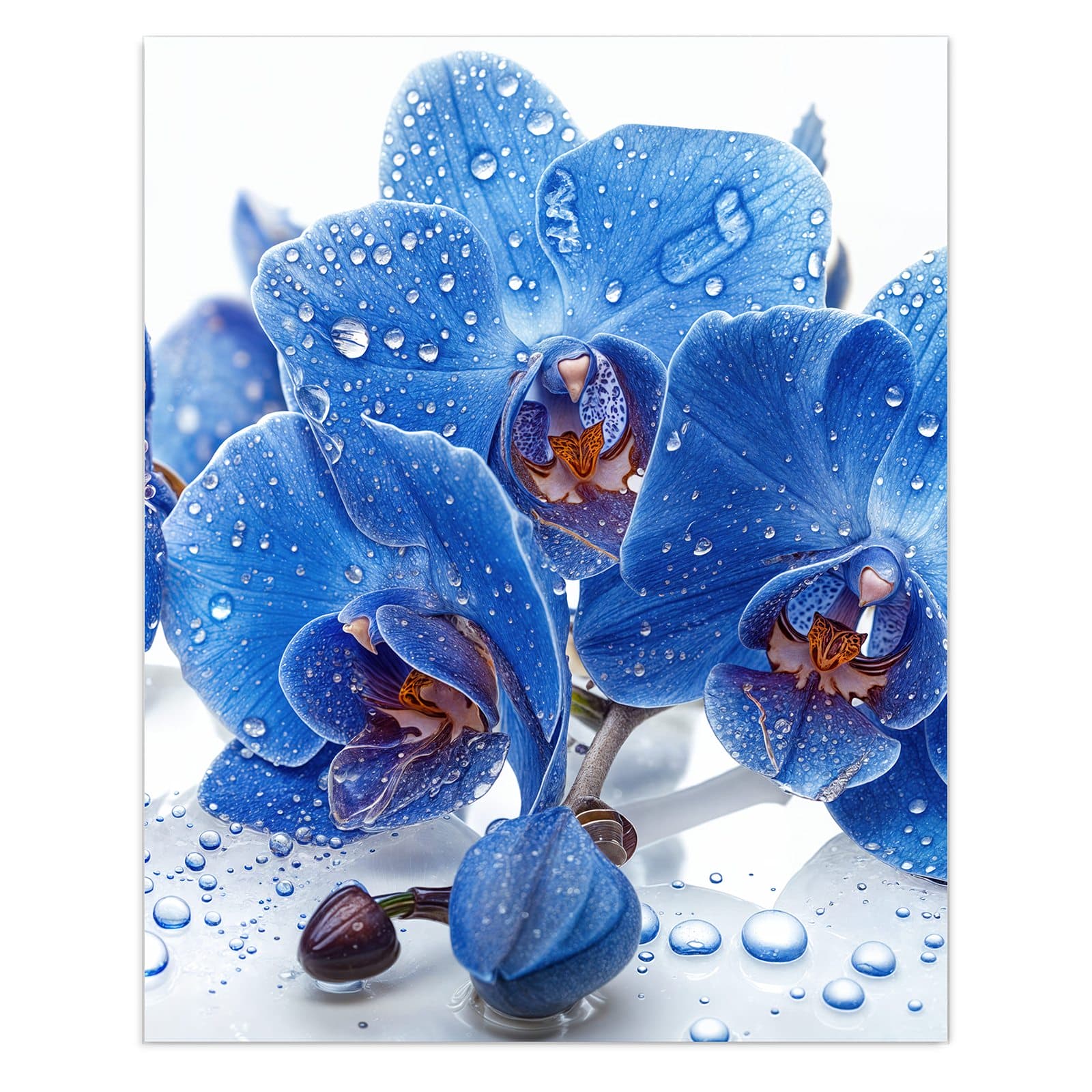 #grösse_60 x 75 cm #grösse_80 x 100 cm