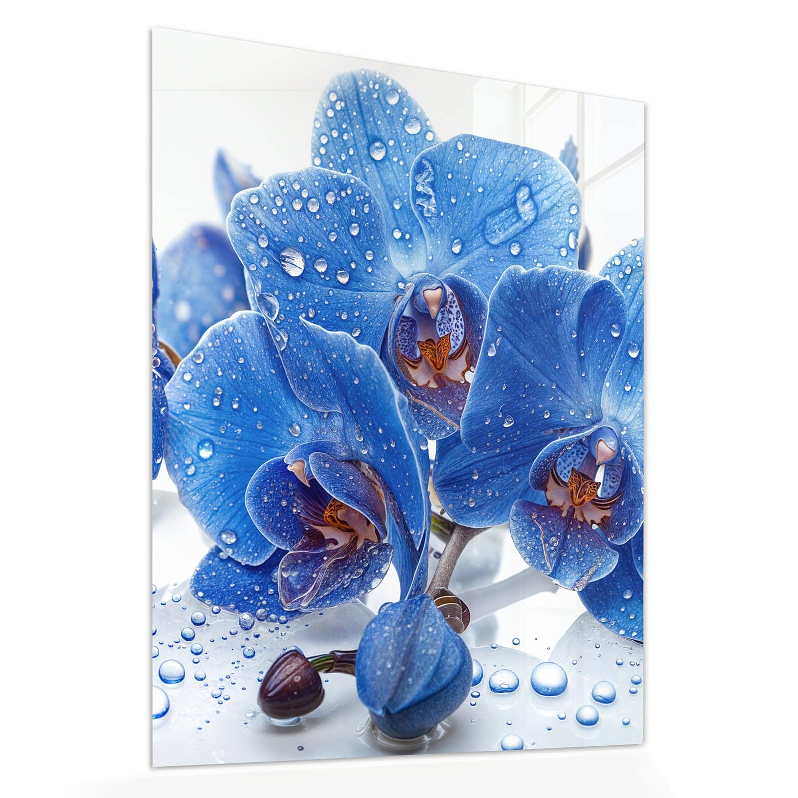 #grösse_60 x 75 cm #grösse_80 x 100 cm