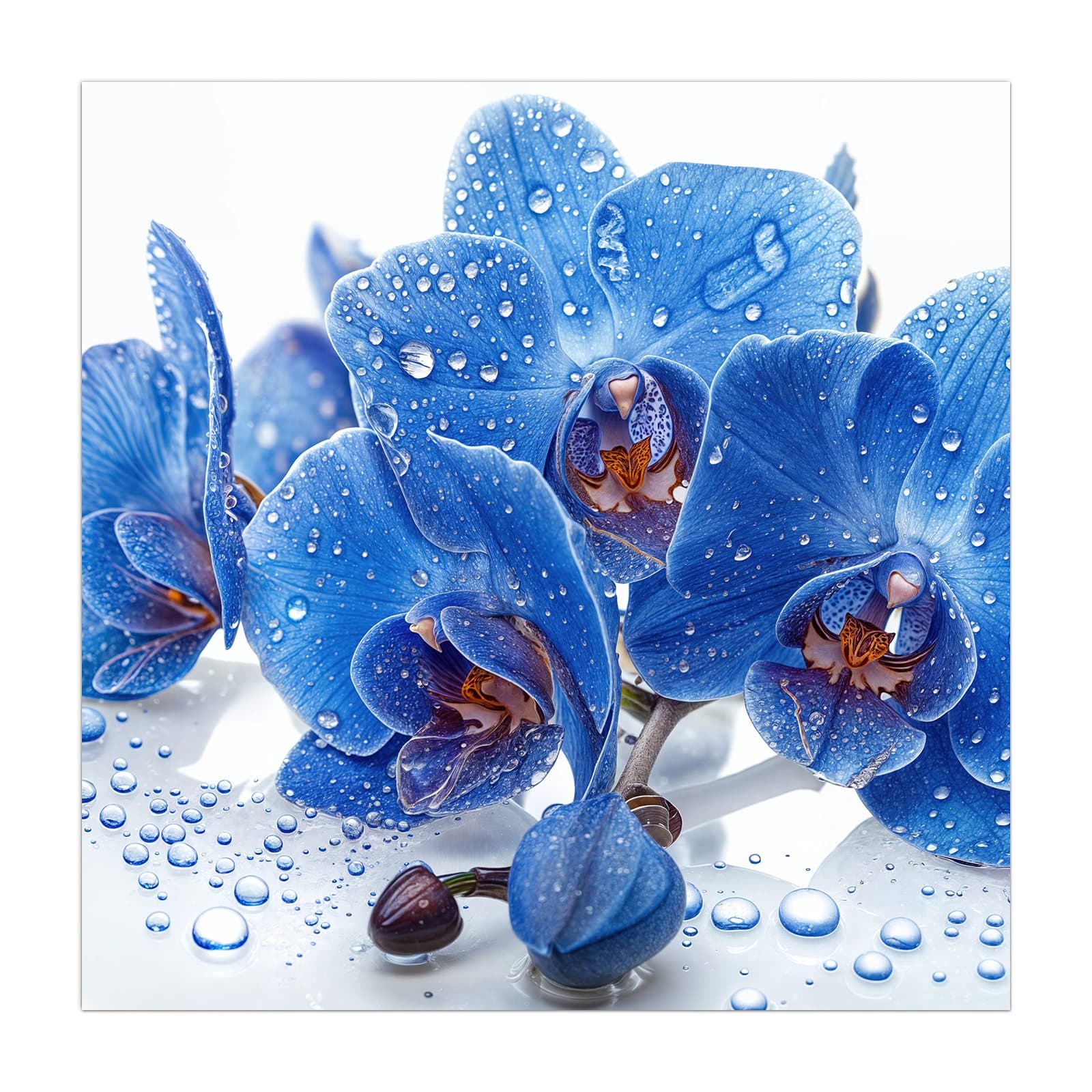 #grösse_40 x 40 cm #grösse_50 x 50 cm #grösse_55 x 55 cm #grösse_60 x 60 cm #grösse_65 x 65 cm #grösse_70 x 70 cm