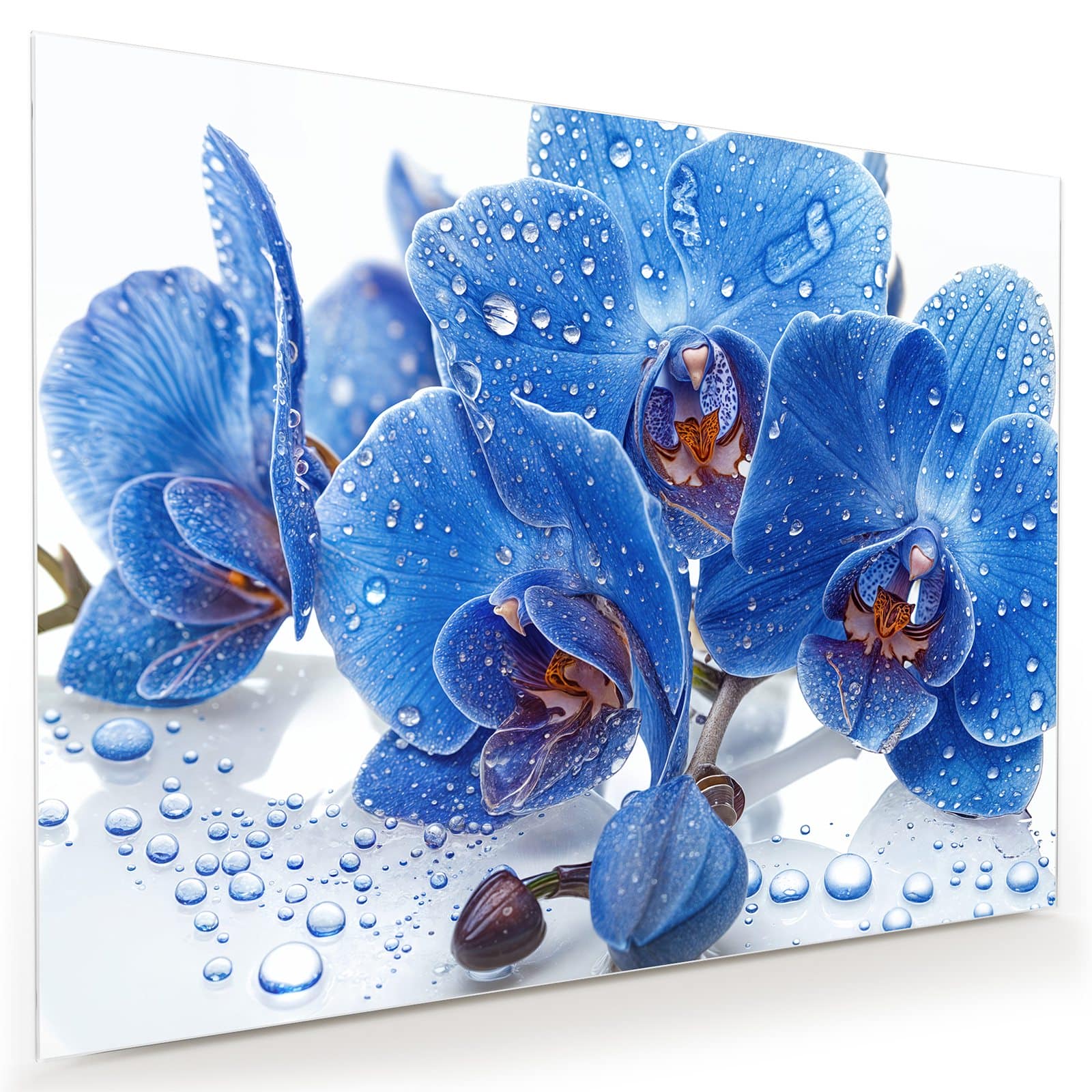 #grösse_80 x 60 cm #grösse_100 x 75 cm #grösse_120 x 90 cm